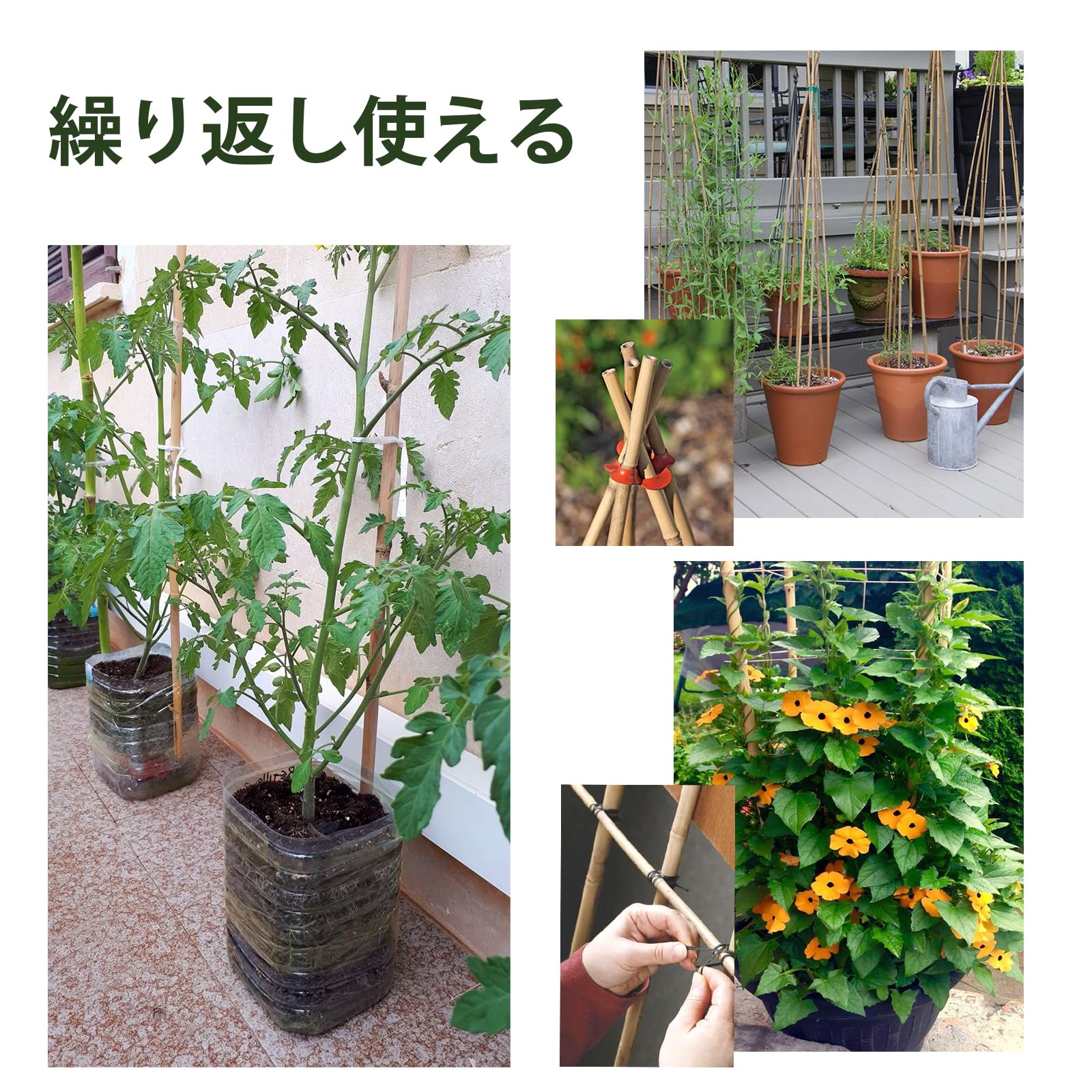 Amazon | Sprigra 竹支柱180cm 20本セット園芸 支柱 女竹 篠竹 めだ