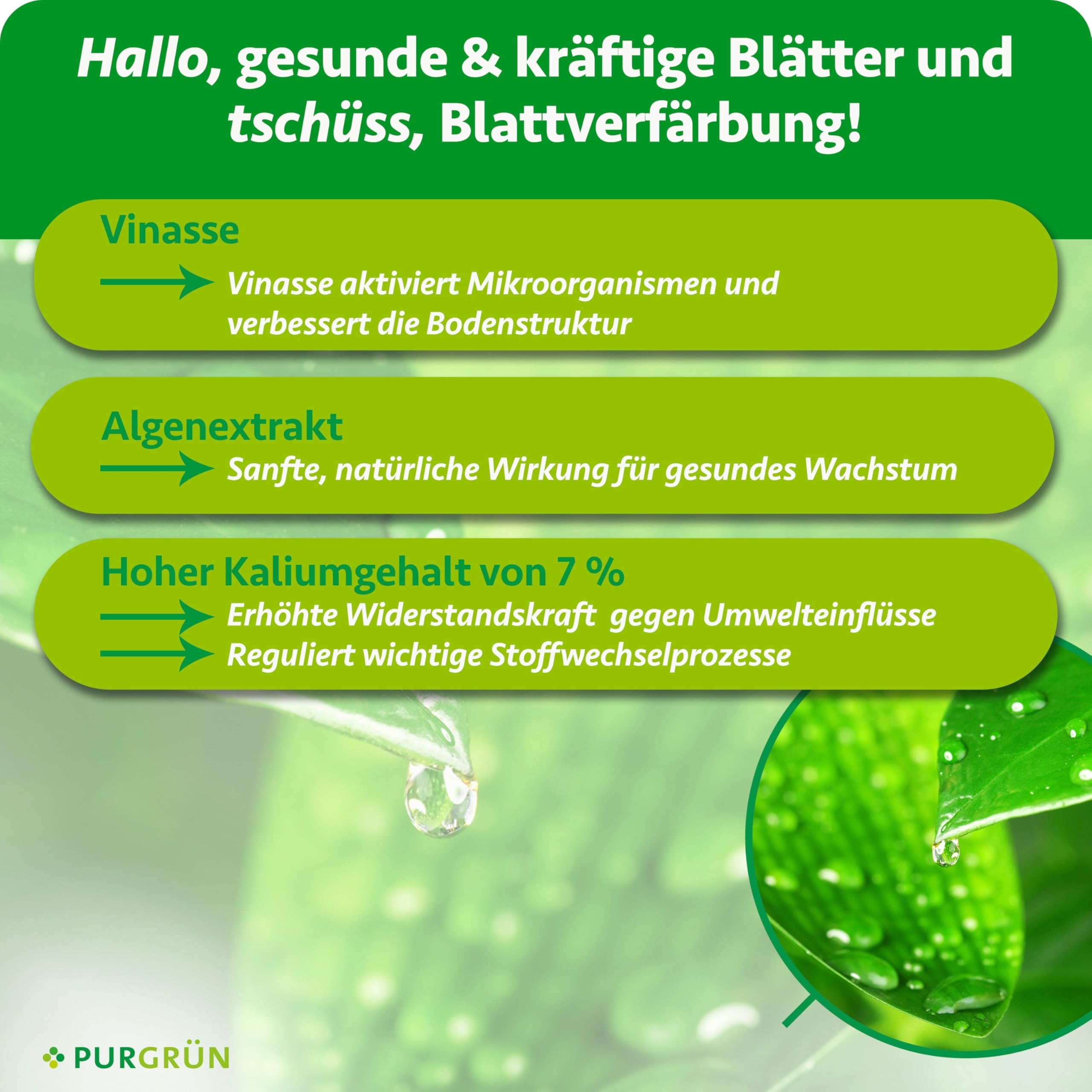 Bio-Vinasse-Dünger 1 Liter – Gesundes Wachstum & reiche Ernte – Premium-Flüssigdünger für den Bio-Anbau – Hohe Widerstandskraft dank extra Kalium – Konzentrat für 100 Liter Gießwasser