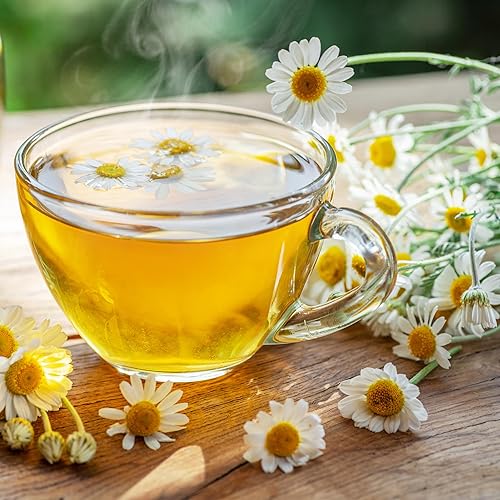 Miniatura 340 de Back to the Roots - Paquete de semillas 100% orgánicas de ají poblano de 0.005 onzas Ají 'Poblano' 140mg,Frijol 'cera dorada' 0.30 oz,Frijol