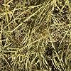 HayDay Sweet & Munchy Ryegrass Hay 1kg