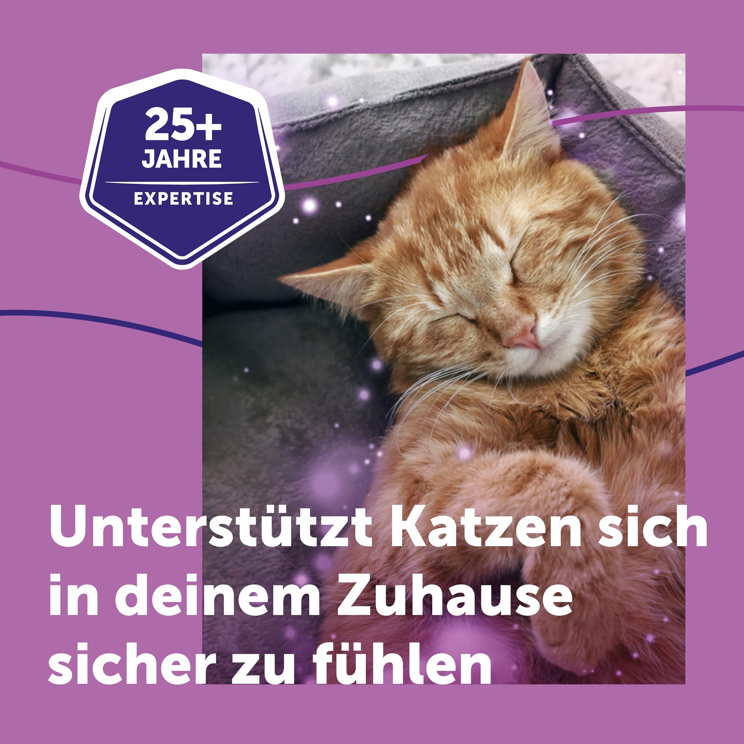 FELIWAY Classic 3x30 Tage Vorteilspack für Pheromon Verdampfer, 3x48ml - Hilft Anzeichen von Stress bei Katzen und Kitten zu reduzieren, von Tierärzten empfohlen, klinisch getestet
