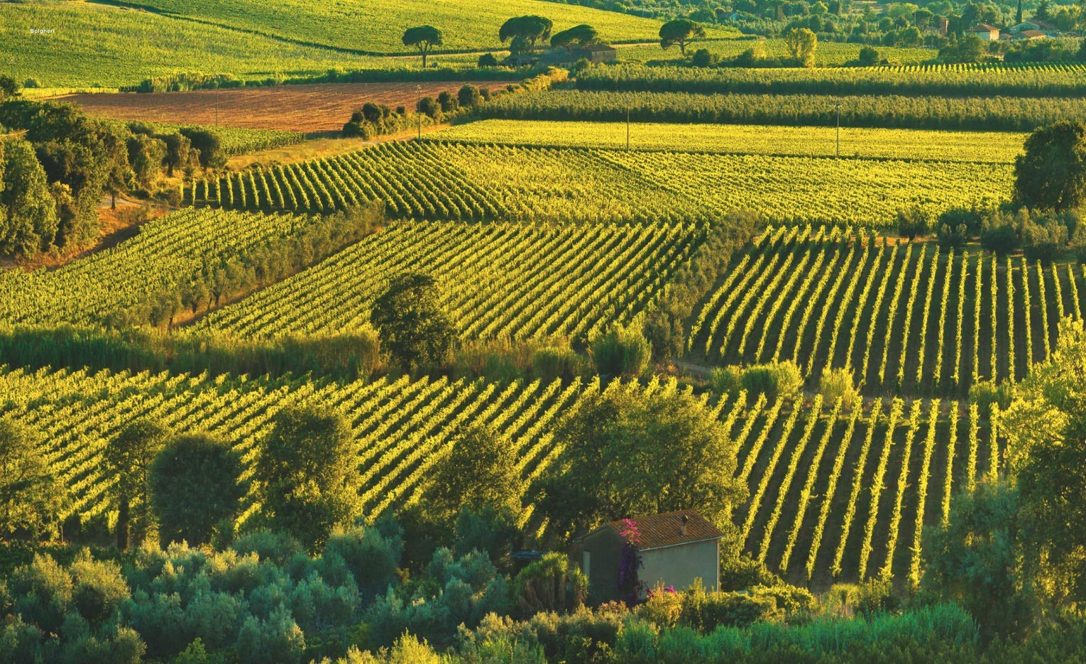 Toscane
