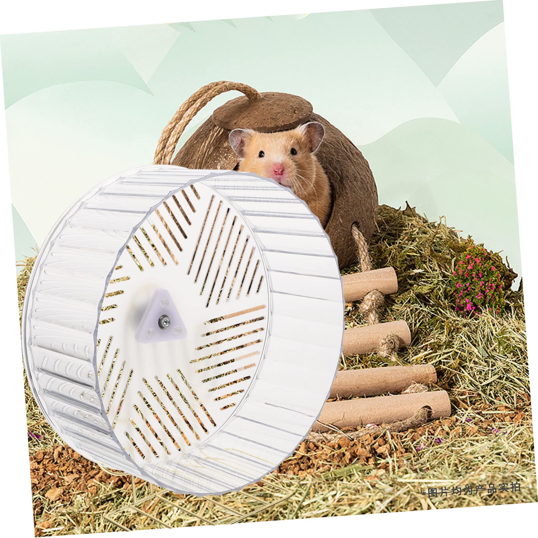 Roue D’Exercice pour Chinchilla et Hérisson, Accessoire de Cage Support, Plastique et Alliage, pour Activité Quotidienne
