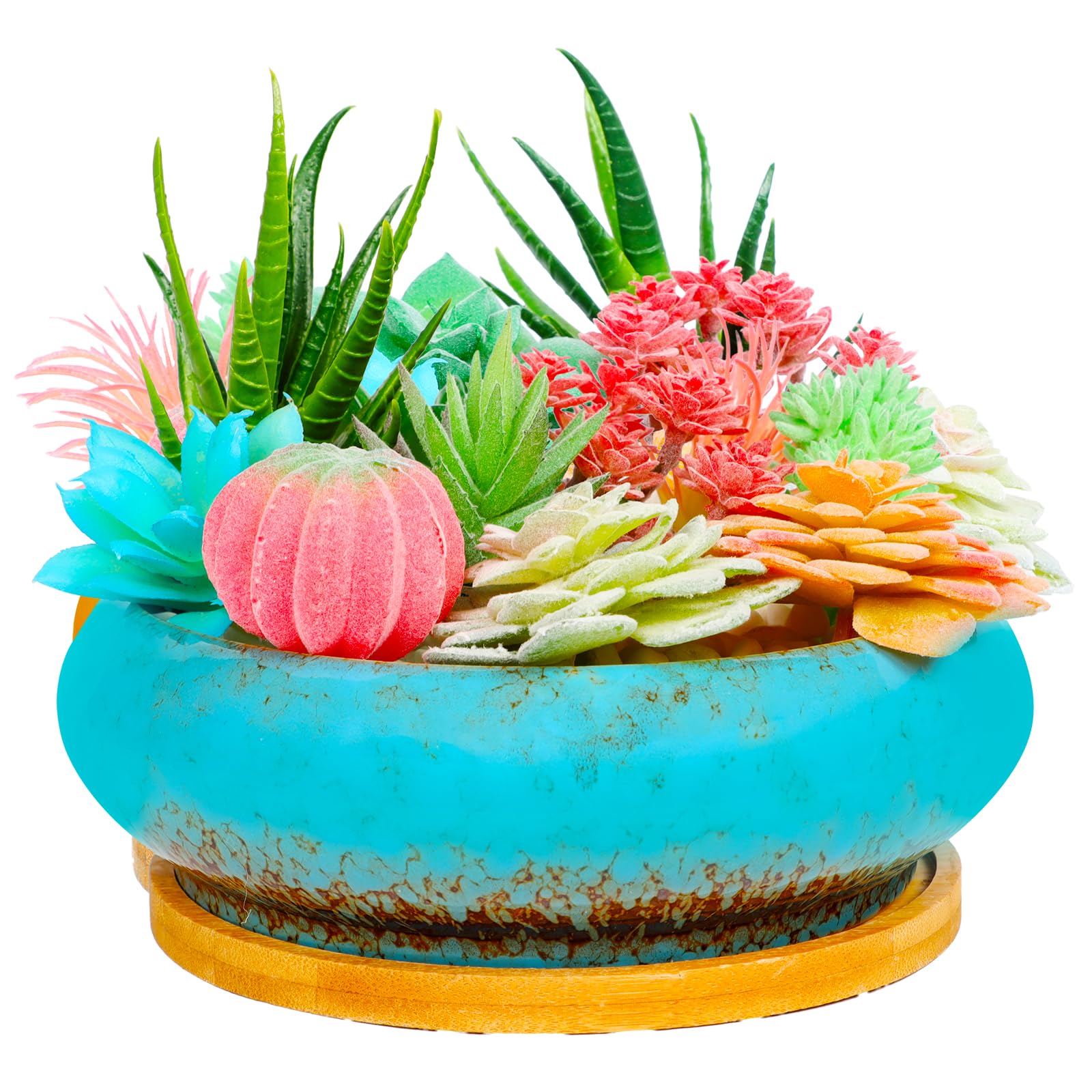 Succulent Pots with Drainage, 6.1 Inch Large Succulent Planters Shallow Ceramic Bonsai Pots with Tray for Indoor Cactus Plants Round Flower Plant Container Bowl (Blue Bowl)