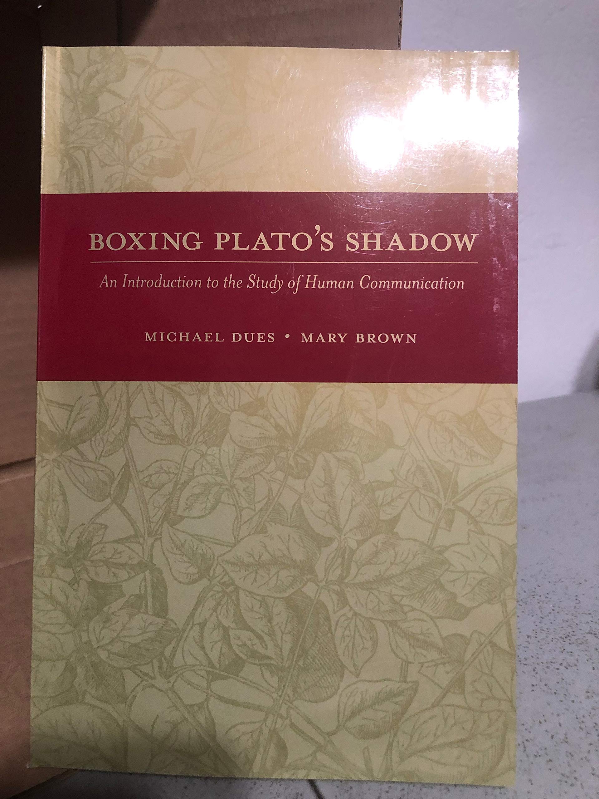 Boxing Plato's Shadow: An Introduction to the Study of Human Communication (New Edition)