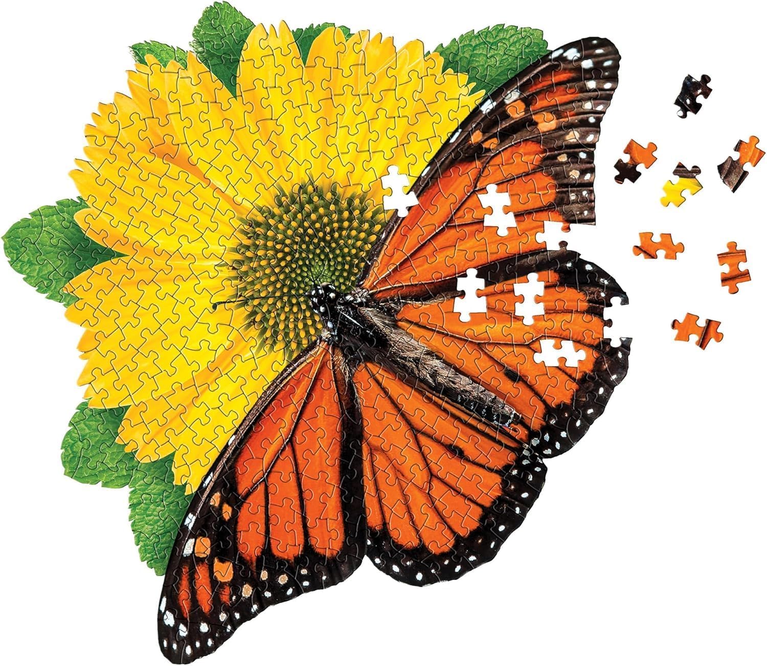 TreatÜrself Butterflyjacquardpeplumtops Butterfly jacquard peplum