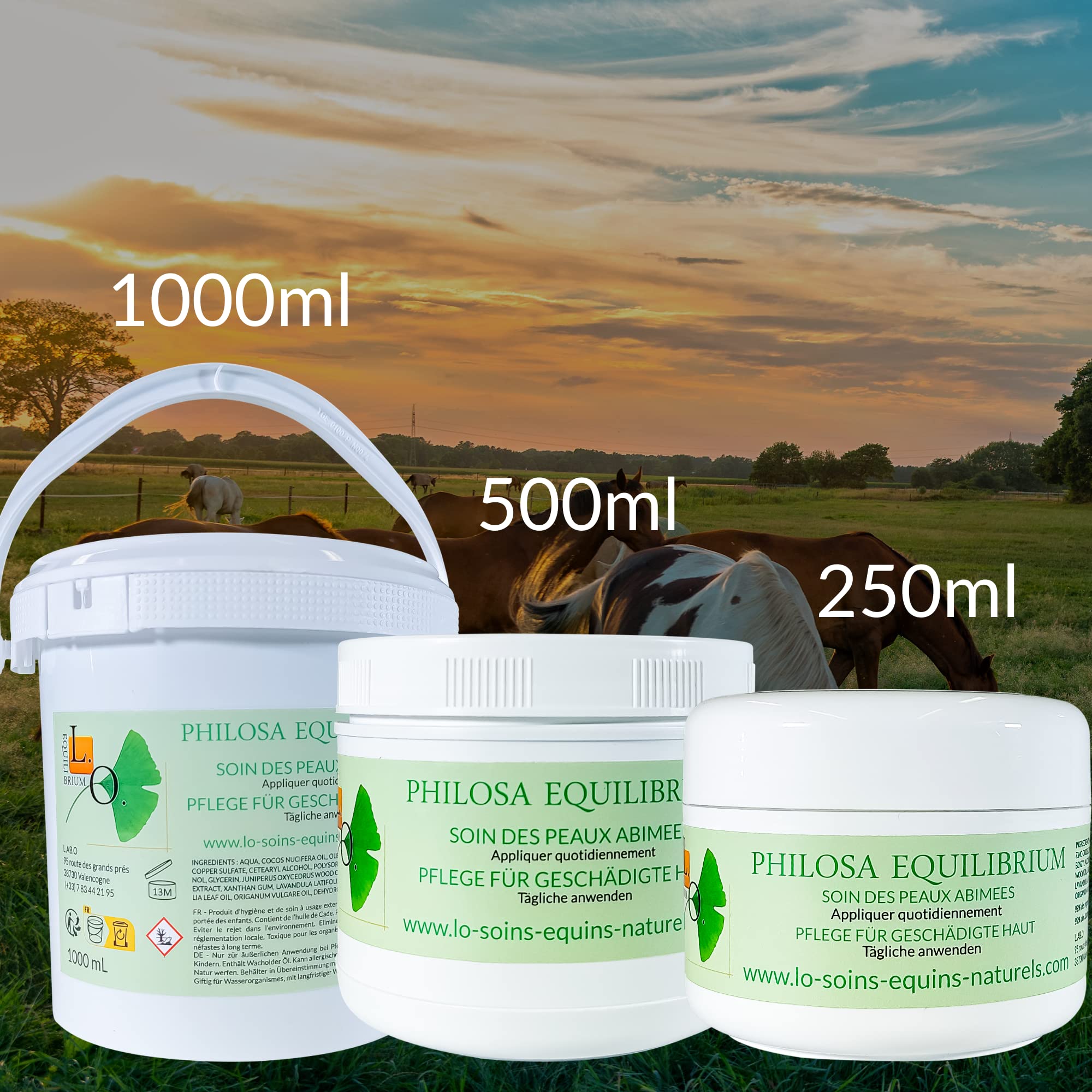 Philosa Equilibrium – Cuidado, bálsamo natural de las pieles dañadas (Gale de Lodo,...) para caballos – A base de plantas, caléndula, árbol de té, lavanda, orégano, aceite de Cade (250 ml)