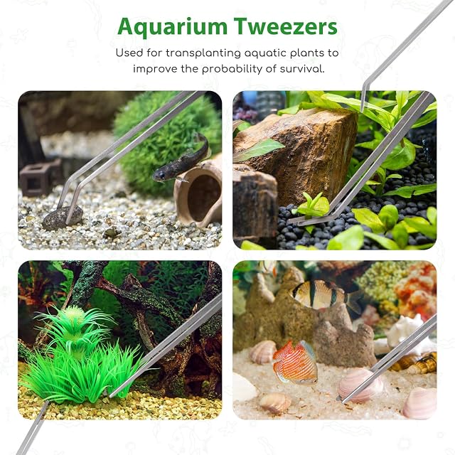 Foto 4 de 7 de Nobleza 4-en-1 Herramientas de Acuario, Acero Inoxidable Accesorios de Limpieza de Acuarios