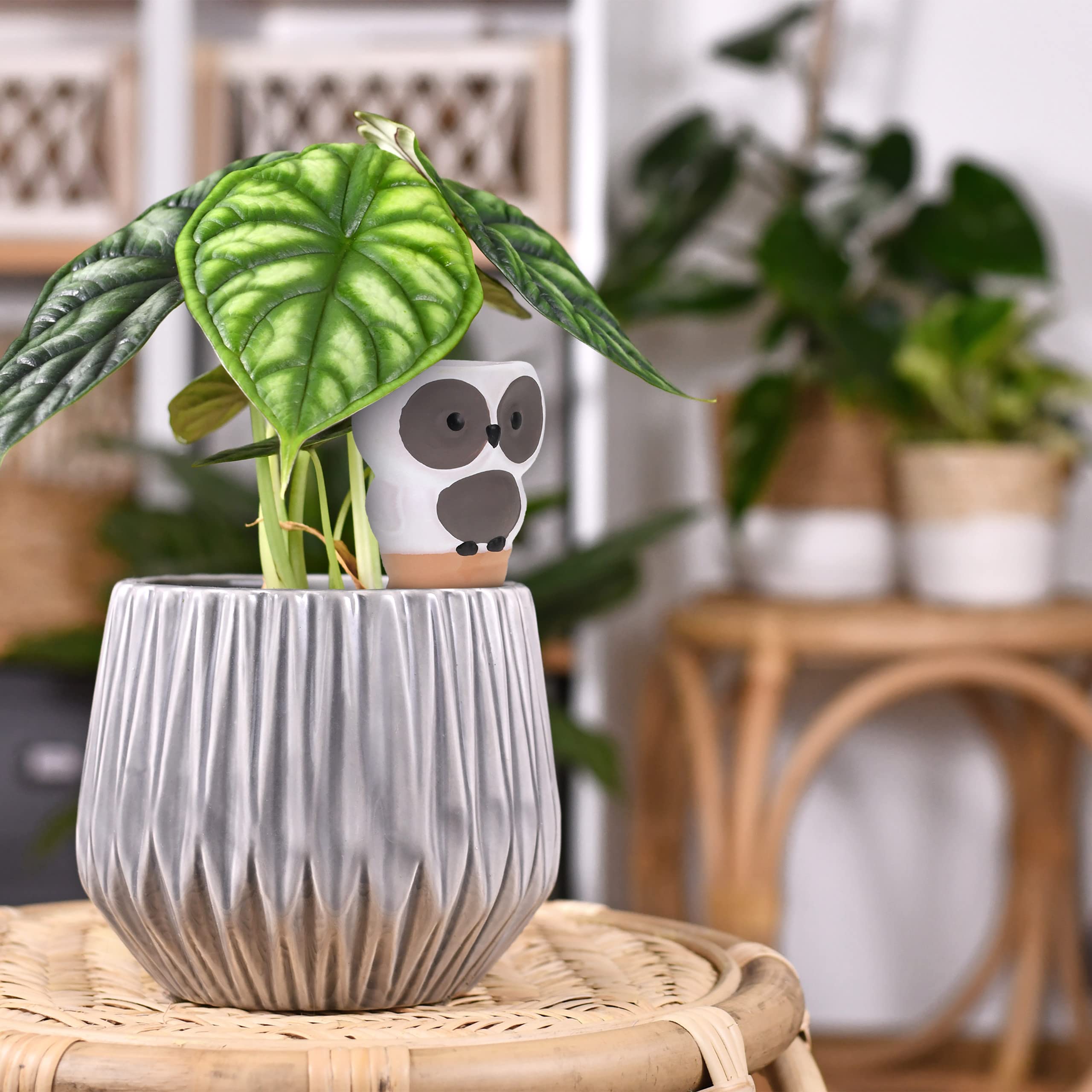 Relaxdays Arrosage en Terre Cuite, Lot de 4, Design Animalier, Bouteilles Pet 1,5 L, intérieur & extérieur, Marron/Blanc
