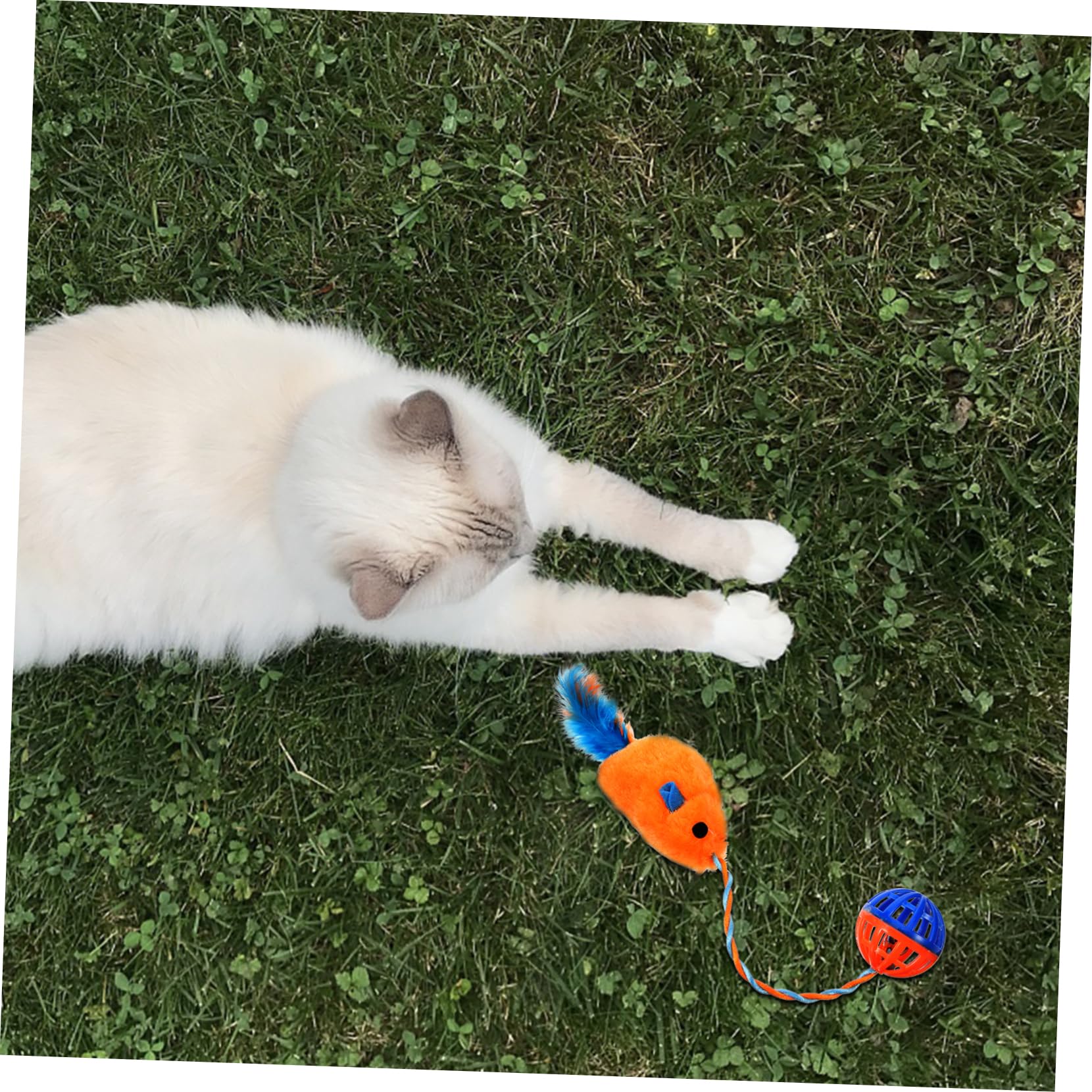 Jouet Souris en Plastique avec Clochette Intégrée, Balle Interactive pour Chaton, Couleur Orange, Stimulation Mentale et Activité Physique, Accessoires pour Chats D’intérieur