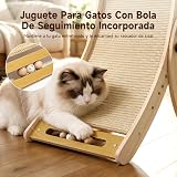 Ver la foto 5