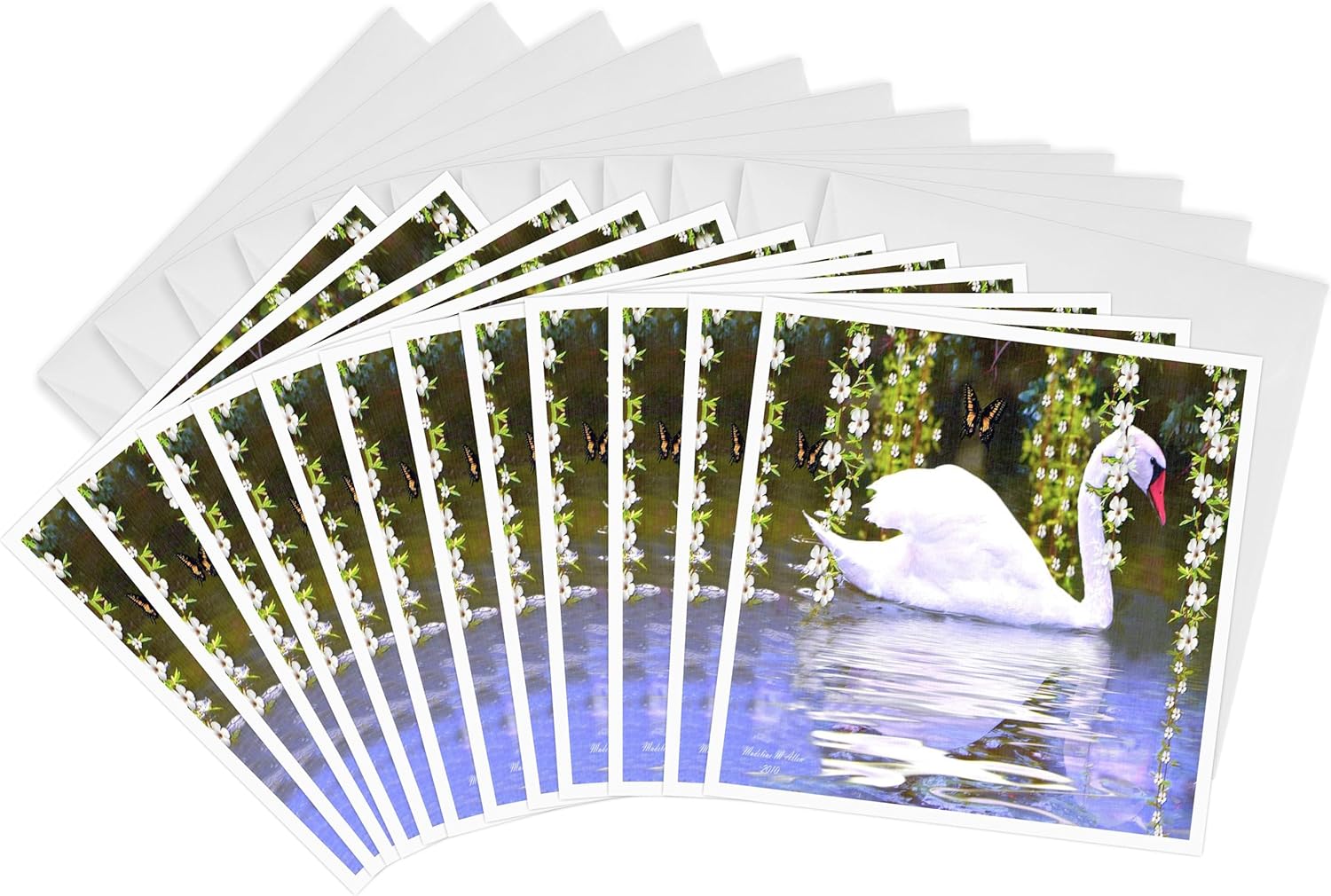 3dRose Swan Reflections - Photography Bird Art - Greeting Cards, 6 x 6 inches, set of 12 (gc_6558_2)