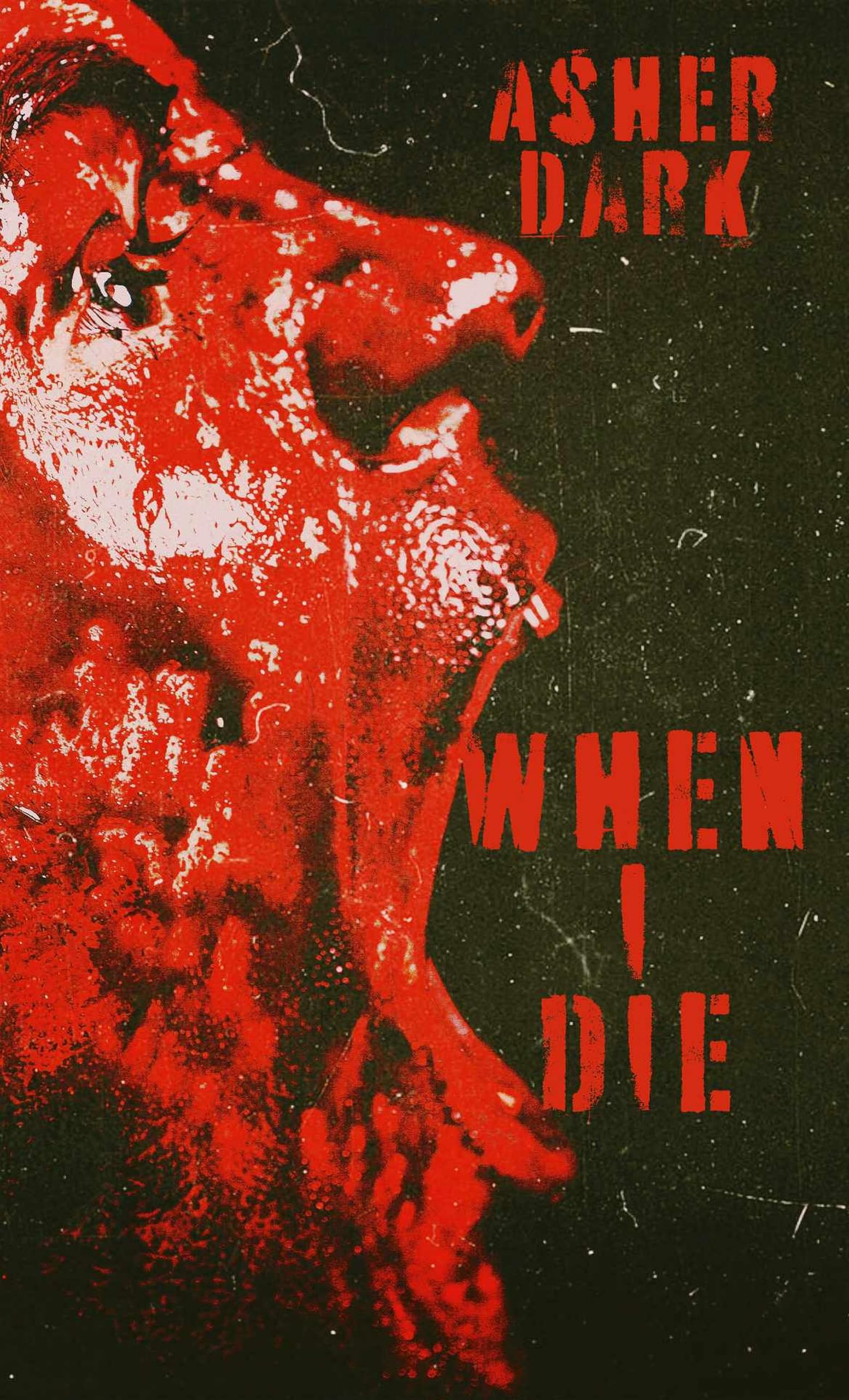 Cover of When I Die