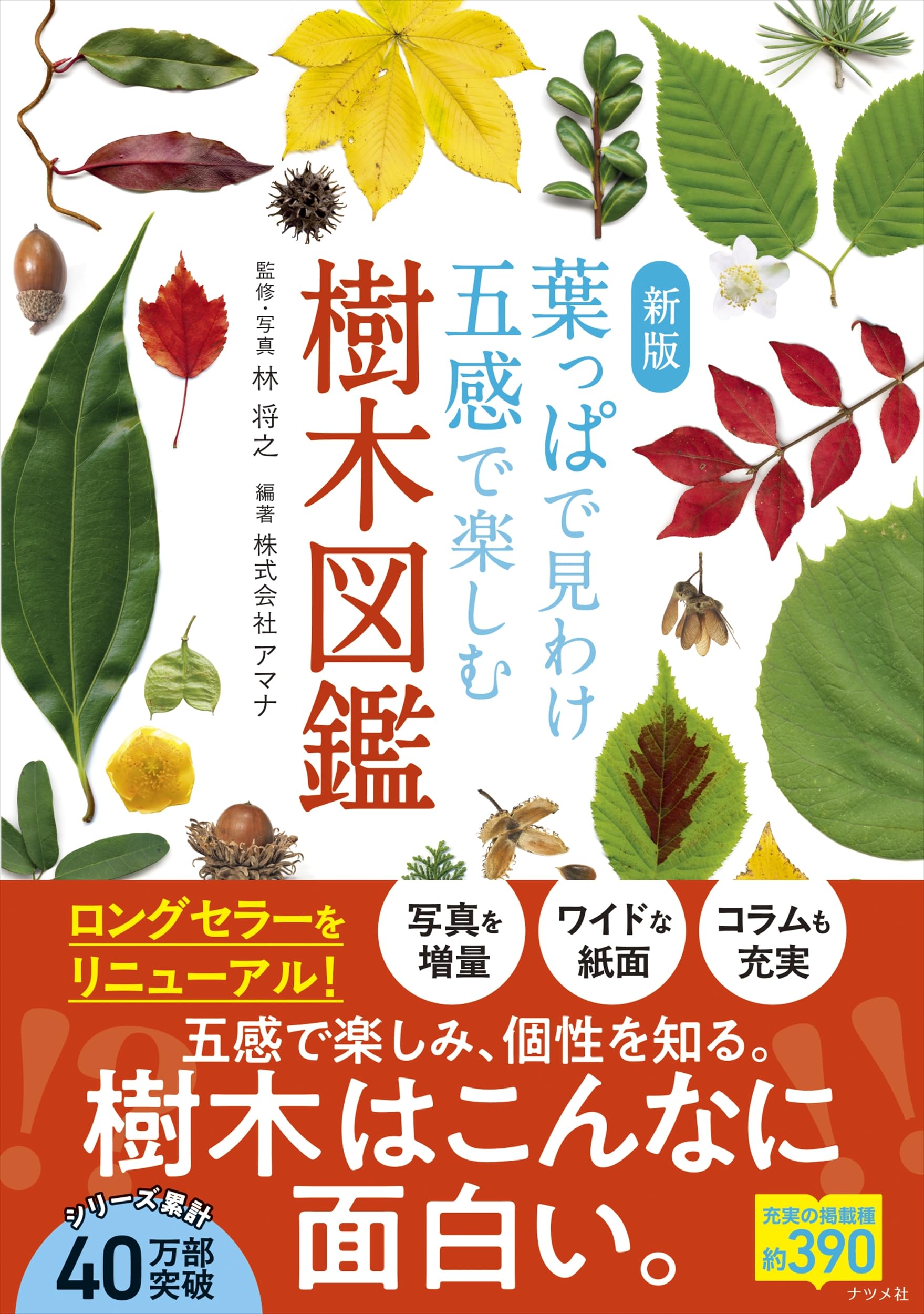新版 葉っぱで見わけ五感で楽しむ樹木図鑑 | 林 将之, 株式会社アマナ