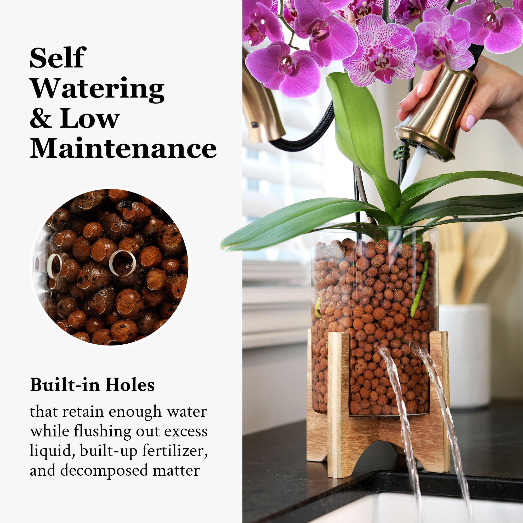 Pot & Pebble - Maceta de vidrio C6 con base de madera decorativa - Estación de propagación de plantas con control de nivel de agua - Soporte de corte de plantas para guijarros de arcilla LECA/medios