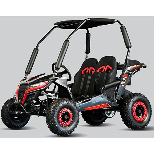 TrailMaster Cheetah 6 Youth Go-Kart - 163cc 5.5HP Engine, 4-Point Safety Belt, Remote Kill, Speed Governor, Suitable for Kids 6-12. with Pre-Assembled Version Now! (Plus, Red)