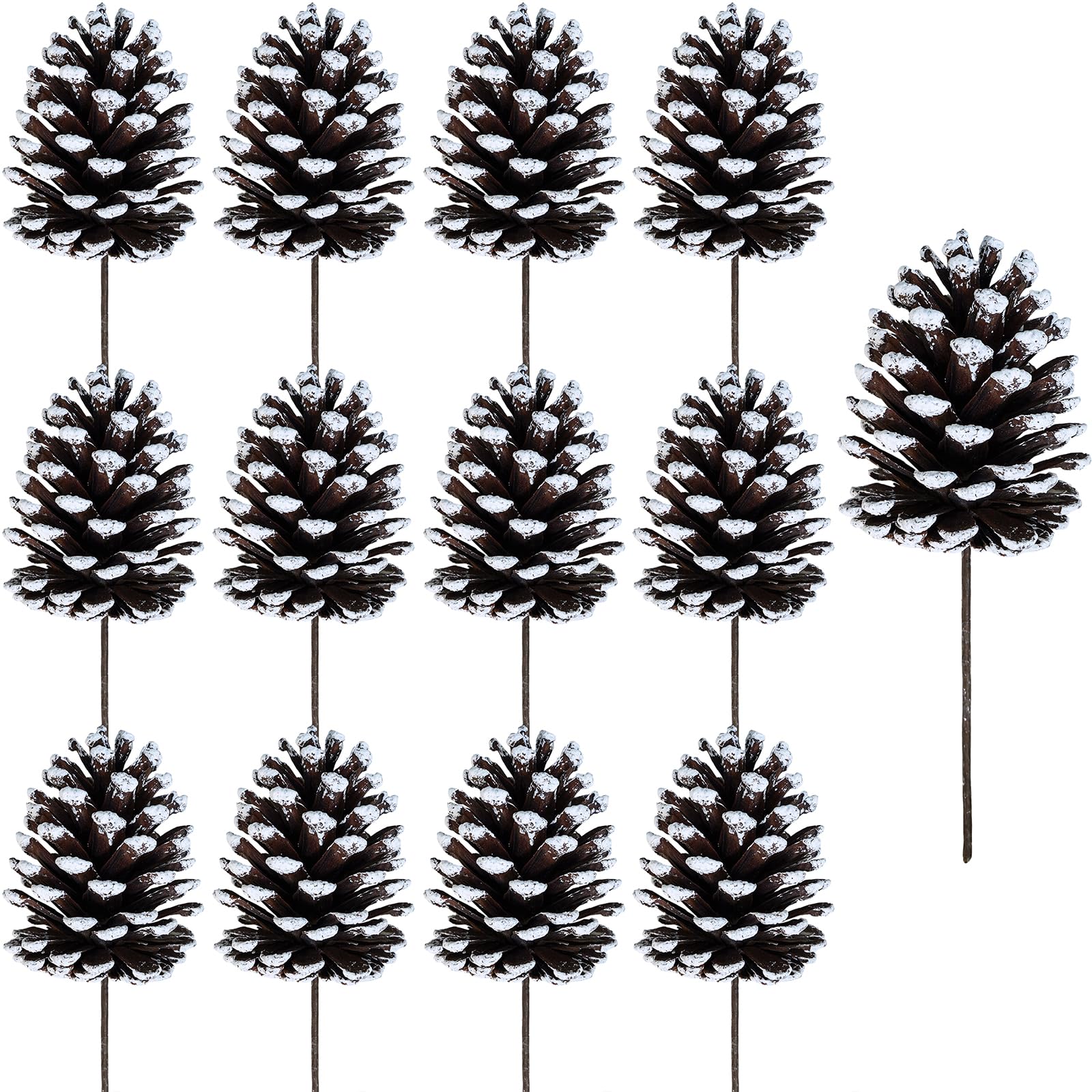 Winlyn 12 pigne satinate per pigne natalizie, con punta bianca, steli medi alti 20,6 cm, per albero di Natale, composizioni floreali, artigianato, ghirlande, matrimoni invernali