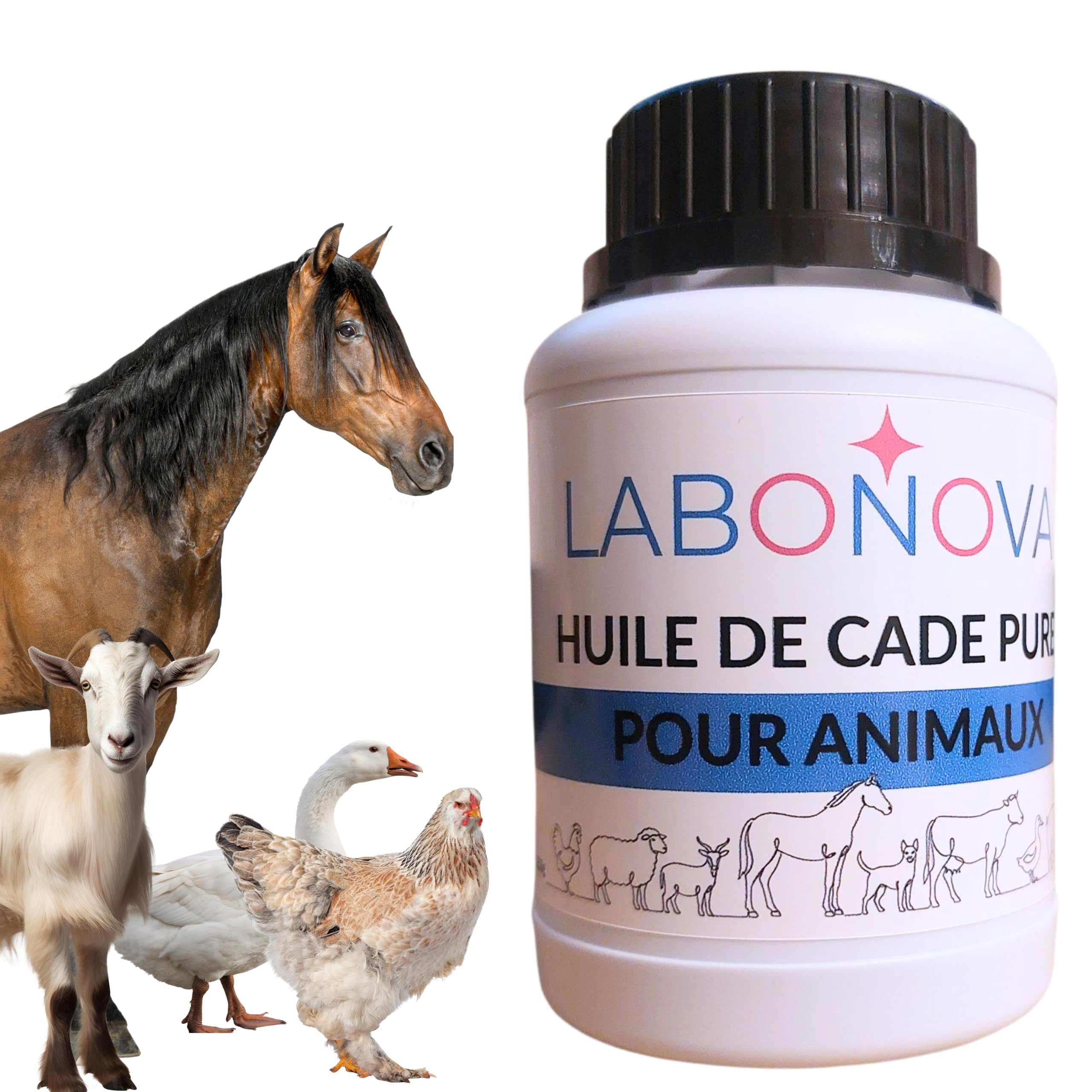 Huile de Cade Pur pour Animaux - Soins des Sabots, Pieds, Peaux - Cheval, Poule, Canard, chèvre, Mouton, âne, Vache 250g