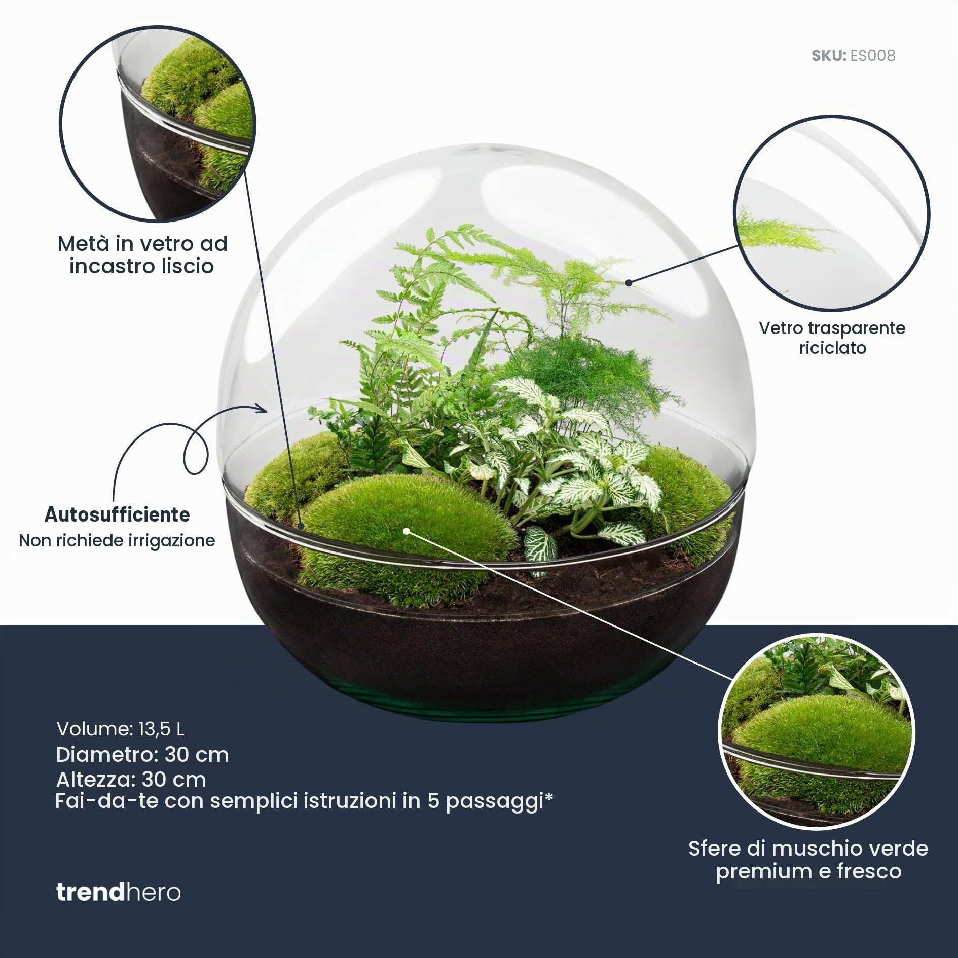 Terrario per piante - Dome XL - Pianta ecosistema - ↑ 30 cm