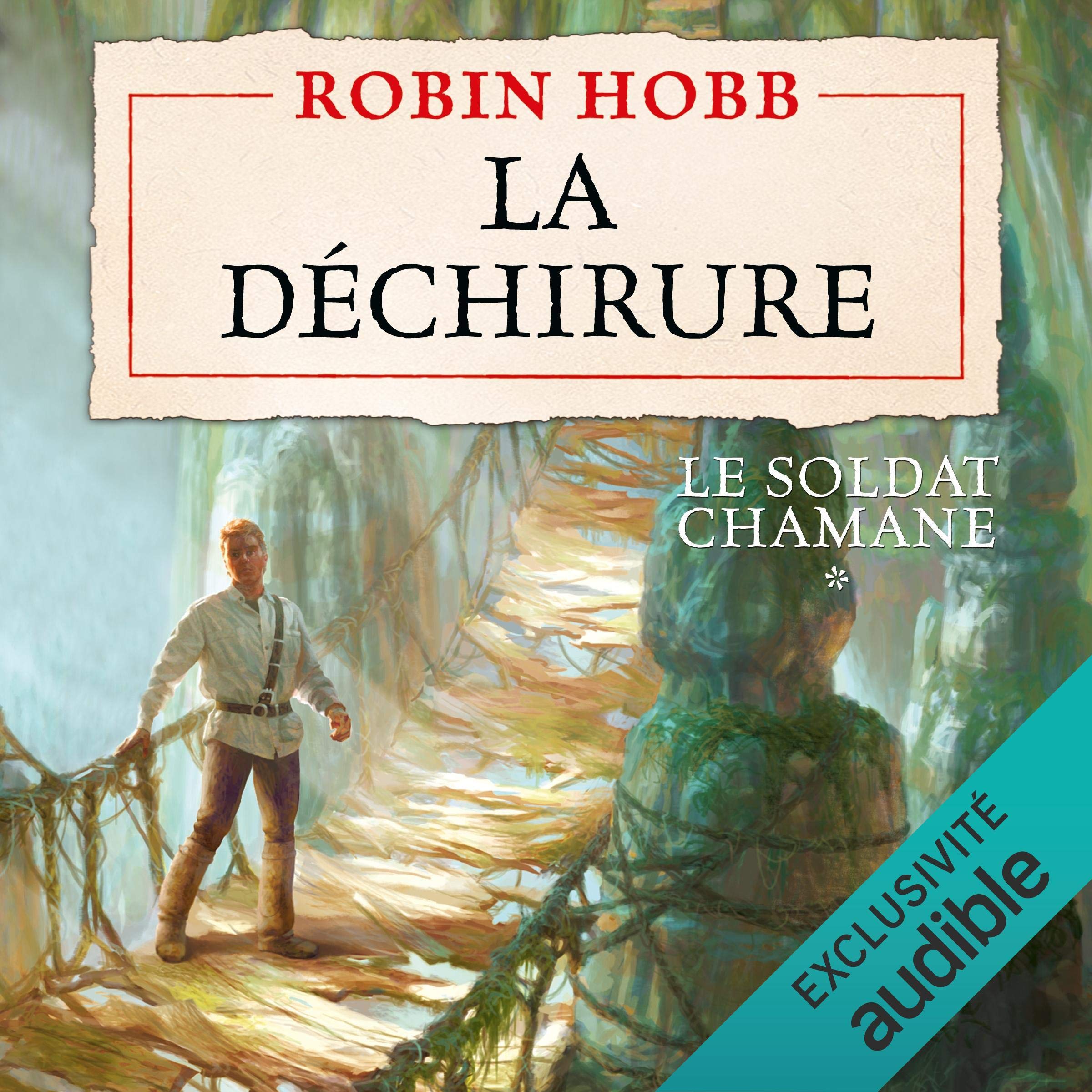 Cover art for La déchirure