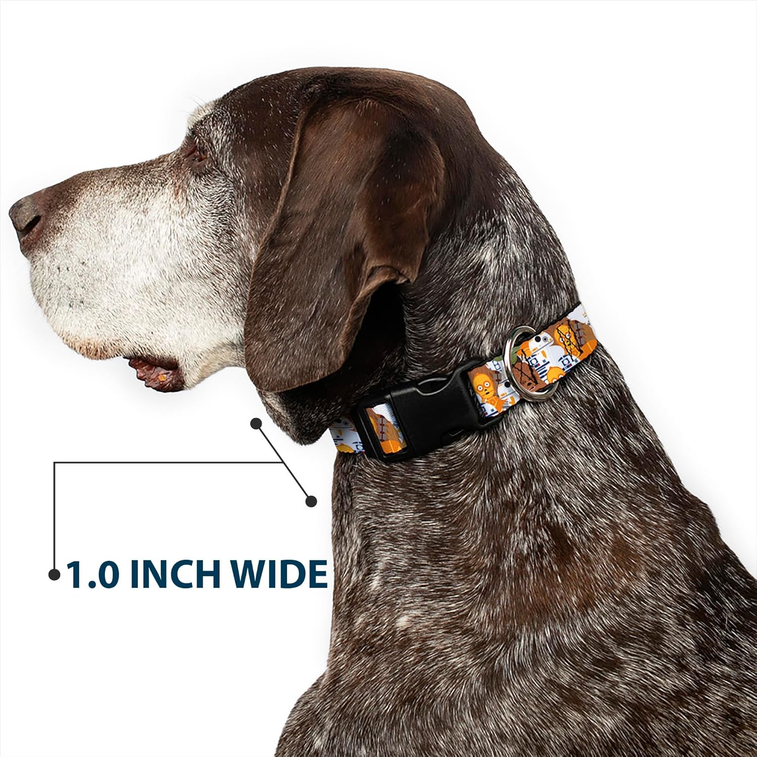 Star Wars Pet Collar, Dog Collar Plastic Buckle, Star Wars 5 Character Poses Stacked, 16 to 23 Inches 1.5 Inch Wide