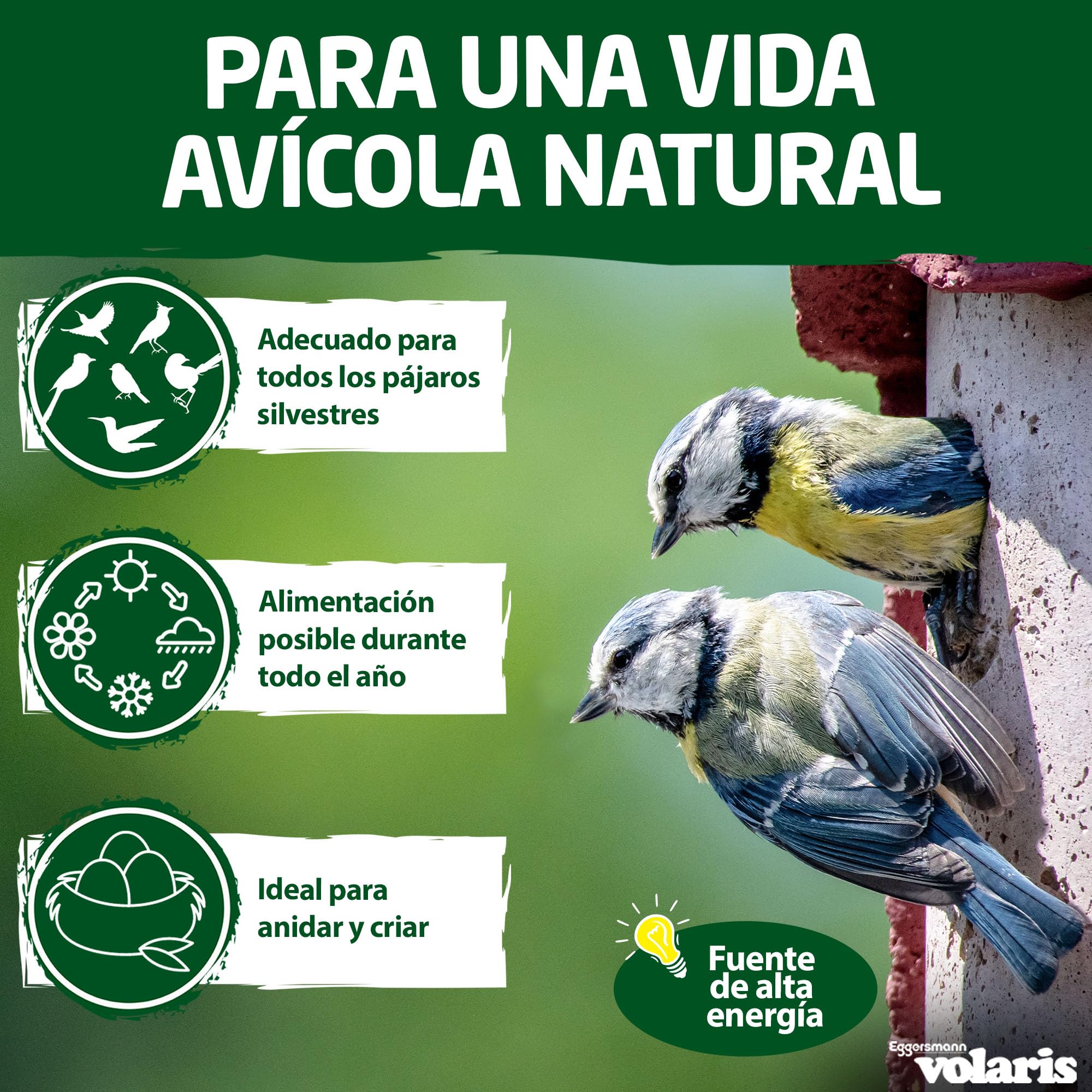 Eggersmann volaris 200 Piezas de proteínas de Bolas de Grasa sin Red 18 kg | Bola de Cereales para Aves Silvestres | Alimento Rico en nutrientes para Todas Las Especies de Aves Durante Todo el año