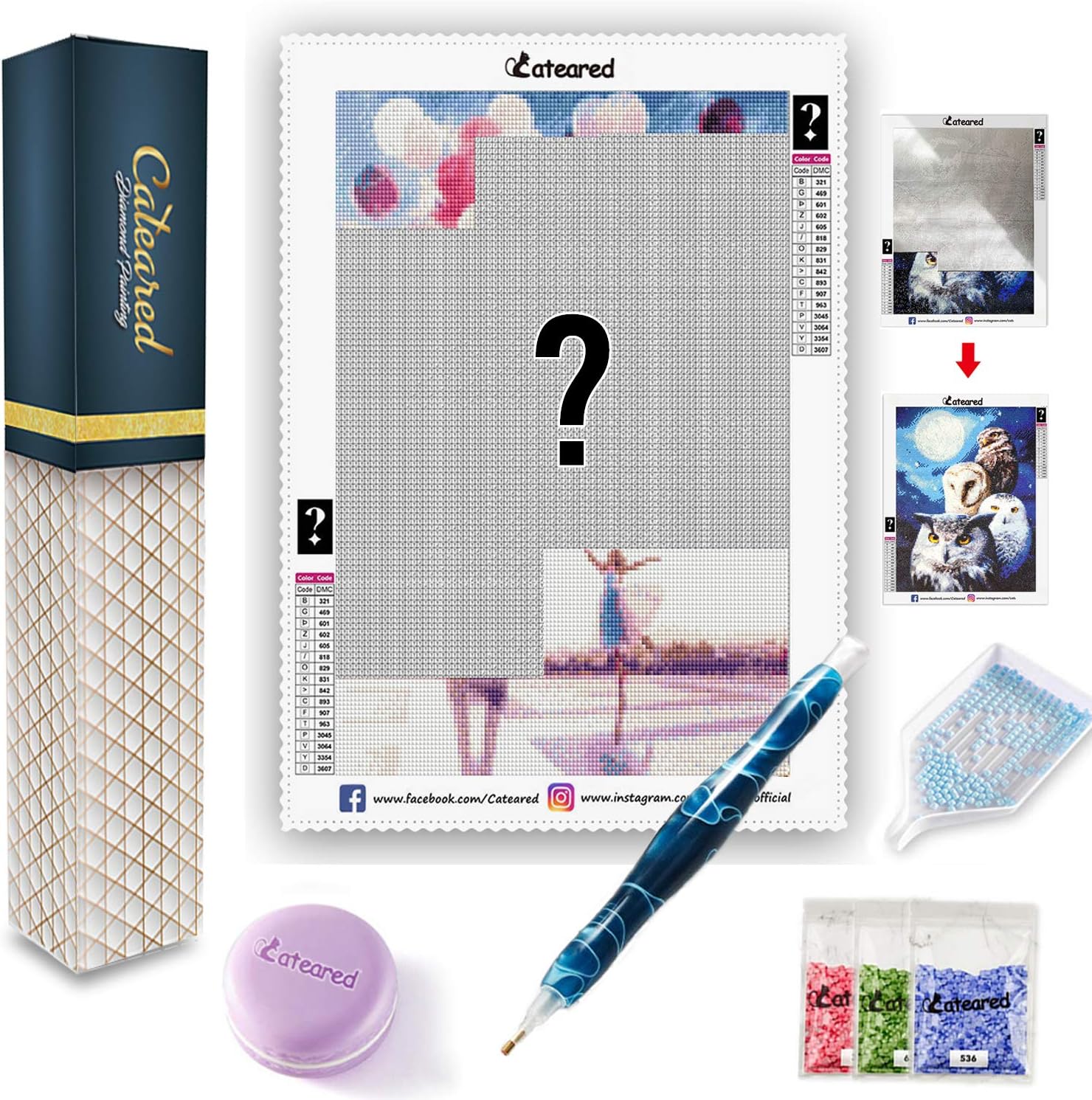 CATEARED Mystery Diamond Painting Kit,Mysterious 5D DIY Diamond Paint by Numbers Art Kit for Adults with Resin Drill Pen and Macaron Wax for Home Decor (Square Drills,12x16in)