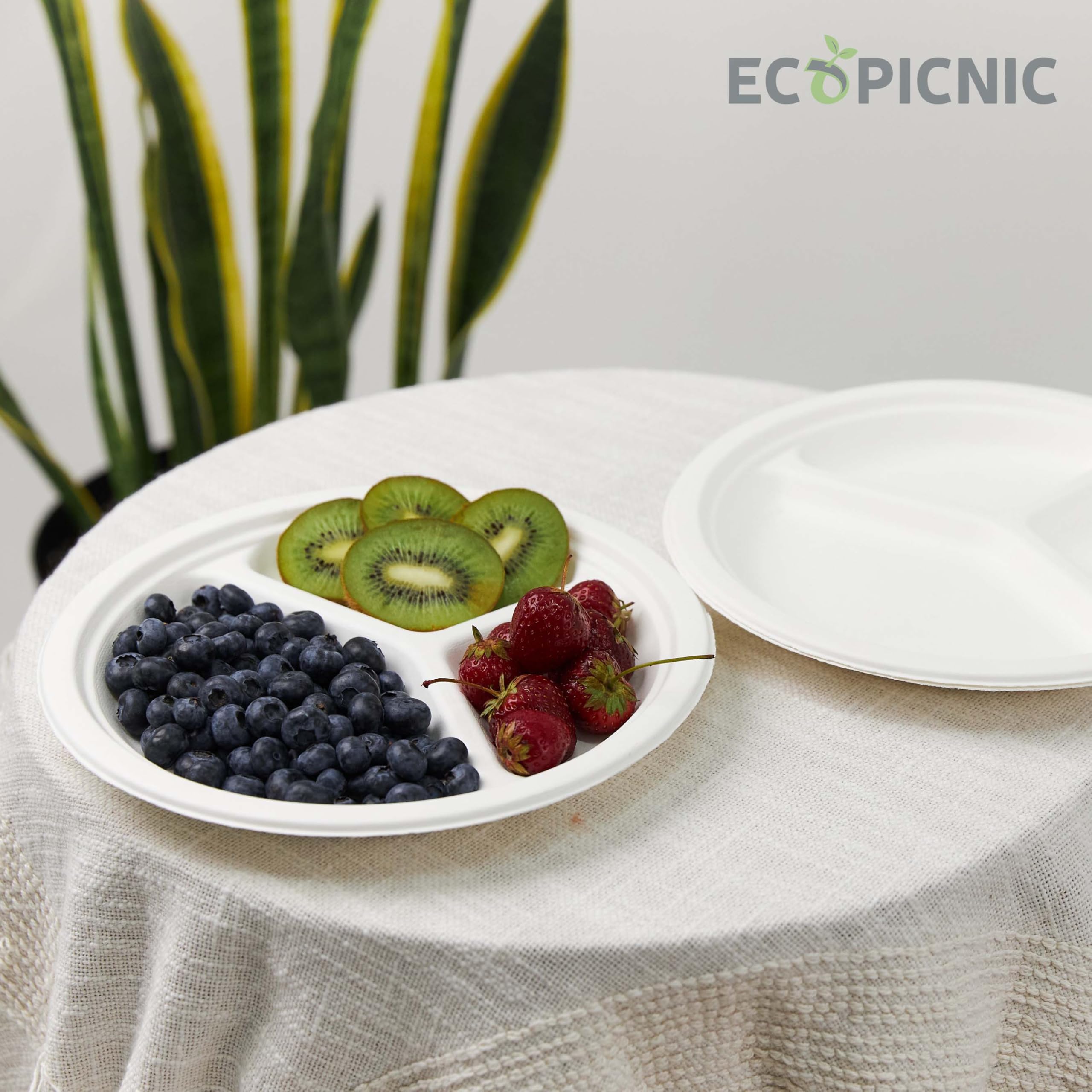 Platos de caña de azúcar de 3 piezas 261 * 26 mm (500 unidades/caja), plato desechable de caña de azúcar, cuenco ecológico desechable para platos calientes y fríos