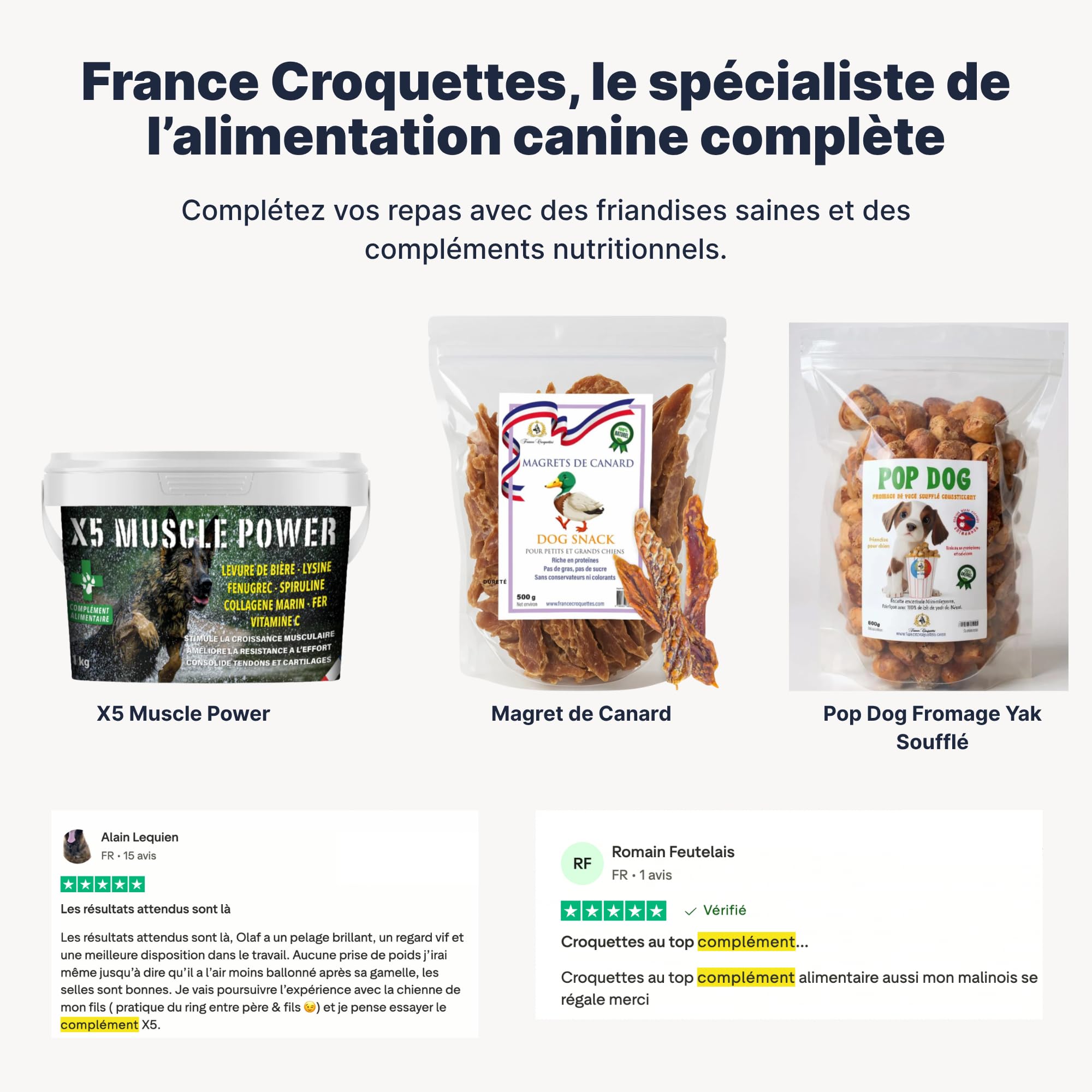 Croquettes Chiens Premium – Gold Starter Mère & Chiots 1 à 3 Mois & Chiennes Gestantes | Croissance, Sevrage Facile, Immunité, Digestion & Vitalité | Fabrication Française – Sac 10 kg