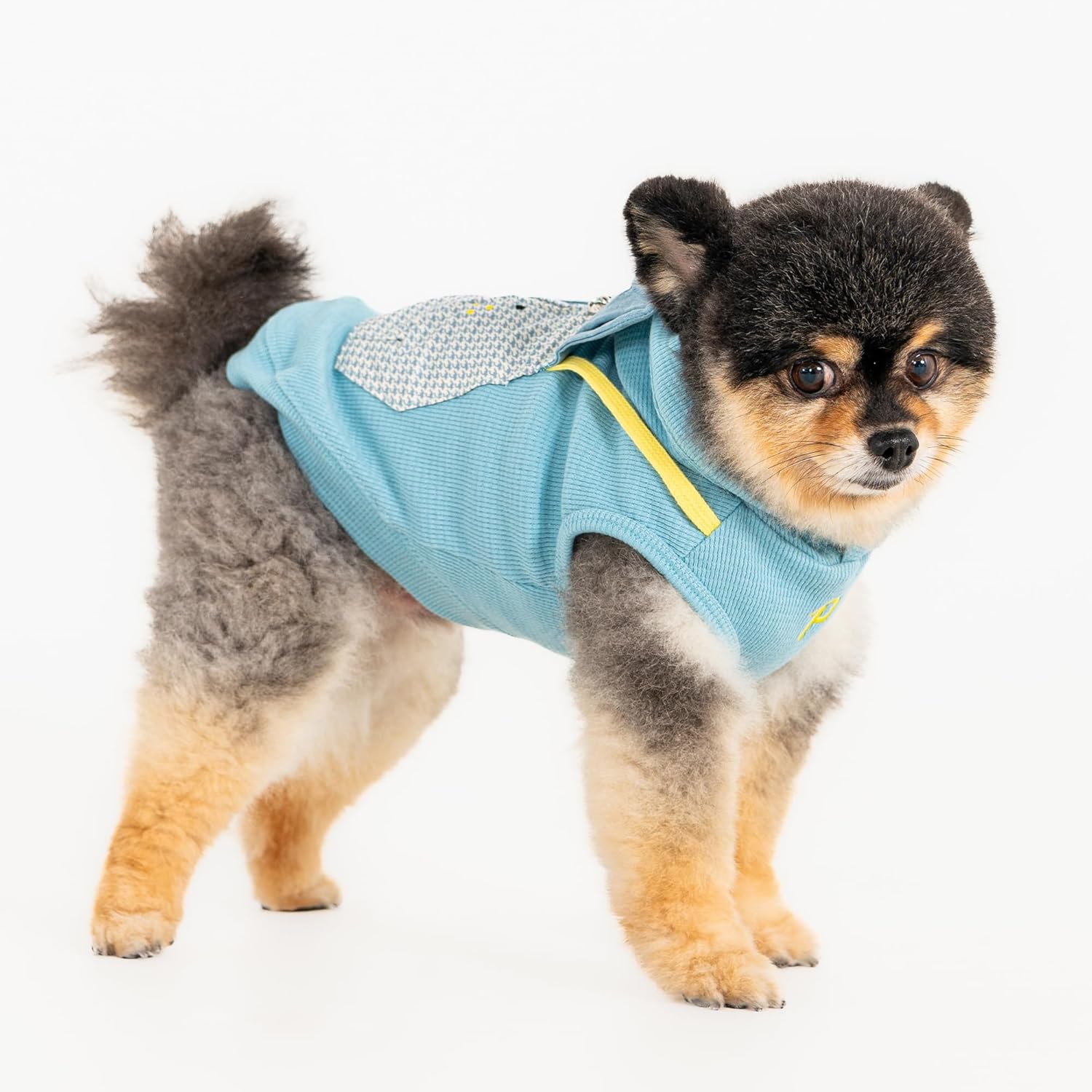 Puppia Lessie Dog Shirt Hooded Trendy Fashionable Cute Dog Apparel for Small and Medium Dogs, Blue, X-Large