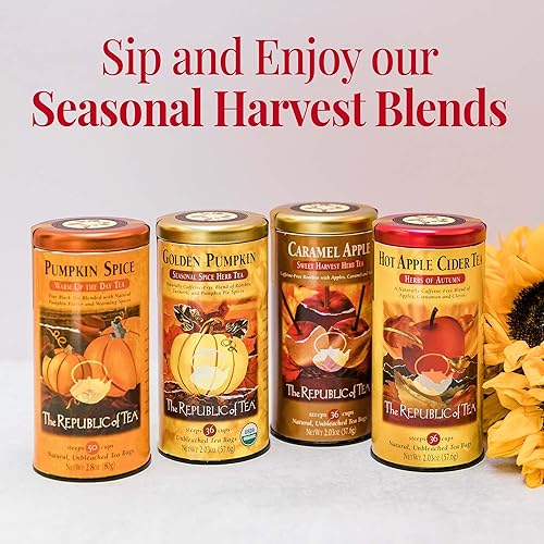 Miniatura 8 de The Republic of Tea Tés de otoño favoritos de edición limitada, paquete de té de calabaza y sidra de manzana caliente, 50 y 36 bolsas de té