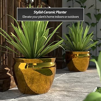 鉢・プランター spicygem Meteorite BOWL pot ver APOLLO Meteorite