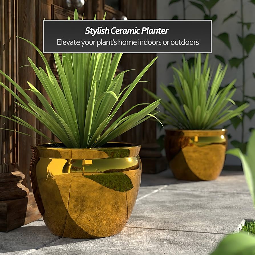 鉢・プランター spicygem Meteorite BOWL pot ver APOLLO Meteorite BOWL var. APOLLO – GAHGA