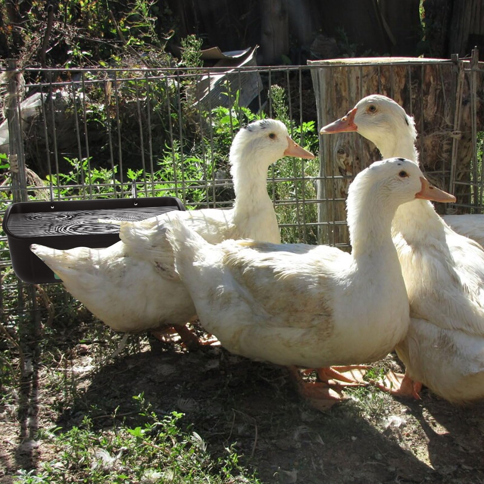 YAYODS Confezione da 6 mangiatoie e abbeveratoi per polli, mangiatoie per anatre e capre, con clip, contenitore per alimentazione per bestiame e pollame, nero