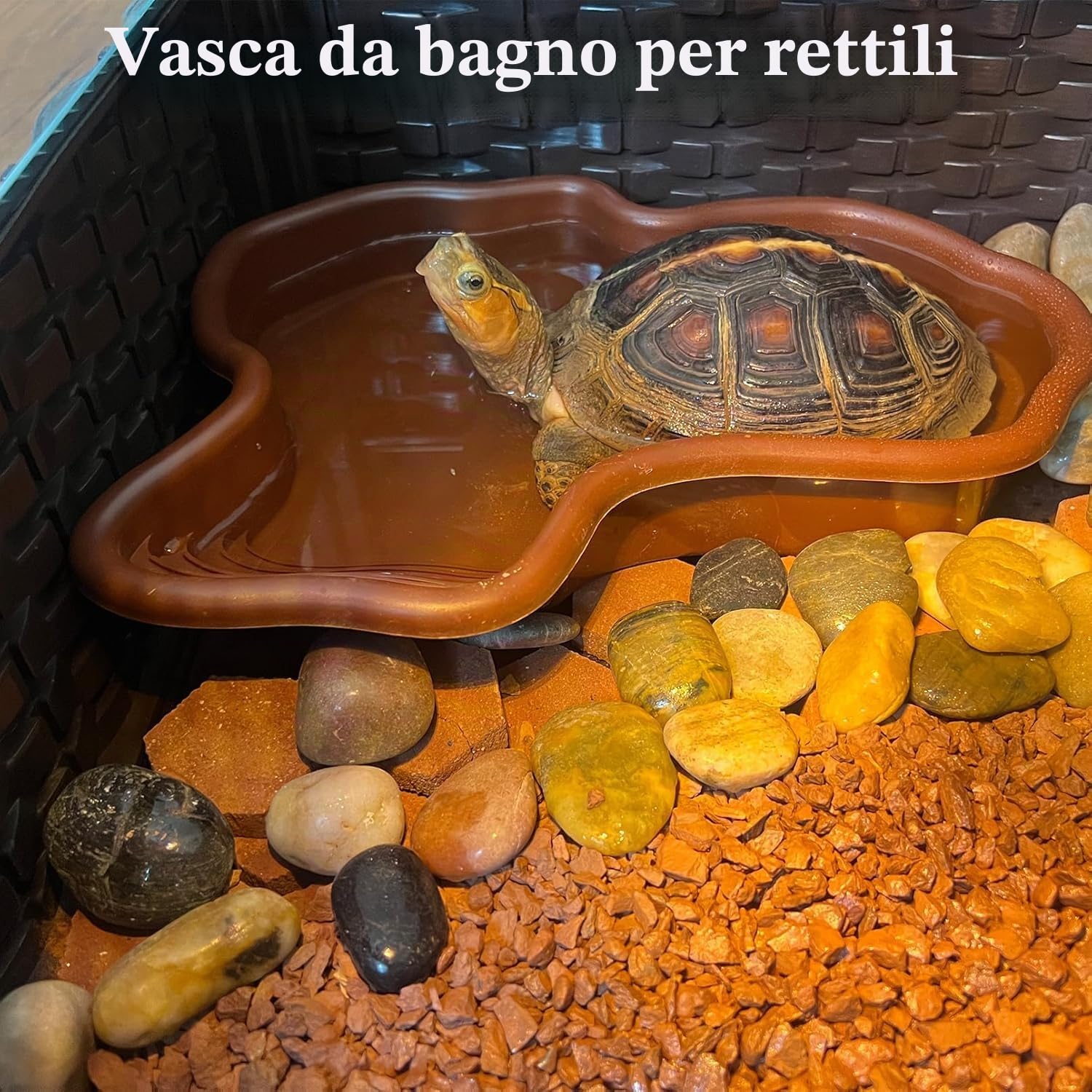 MEISO Vasca per Tartarughe, Bagno per Rettili, Vasca per Tartarughe Terrestri in Plastica con Rampa Antiscivolo, Piscina per Tartarughe, Ciotola Acqua per Rettili, Mangiatoia per Rettili con Drenaggio