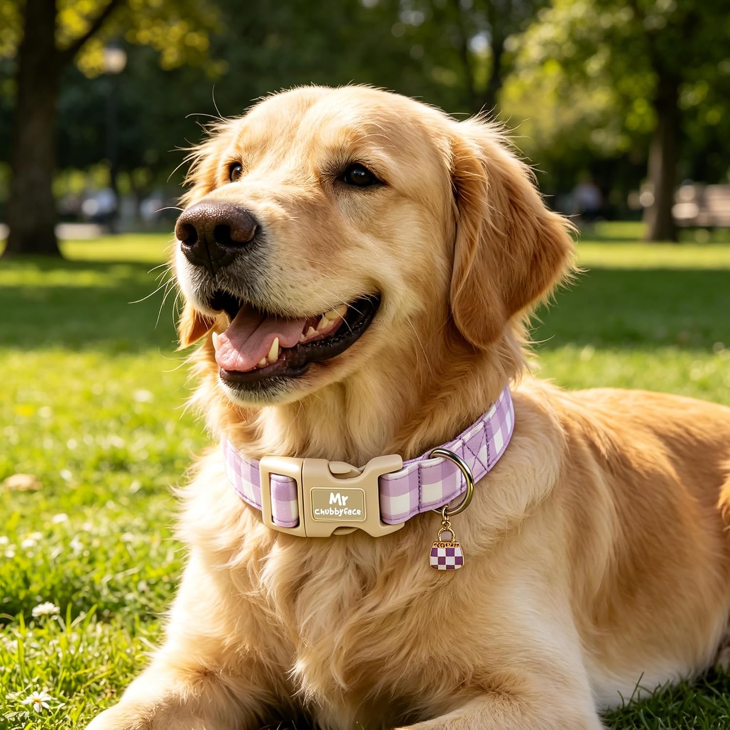 ·MR.CHUBBYFACE· Purplie&White Plaid Dog Collar for Medium Dogs M image 4
