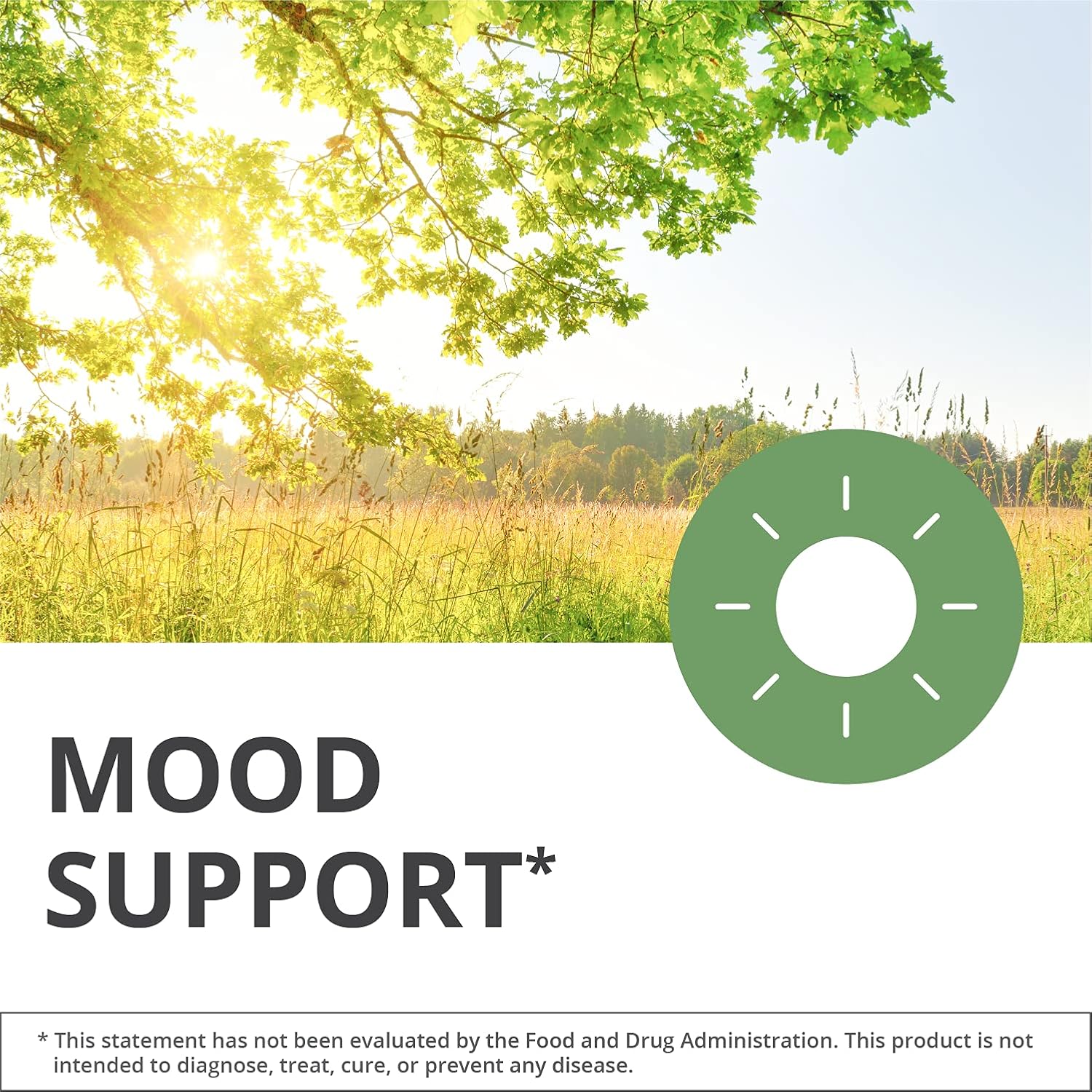 NutraMedix Stress Support Bundle - Supplements for Stress Support and Healthy Stress Response - Includes Magnesium Malate, MoodMedix & RelaxMedix - Liquid Extracts & Capsules for Stress - 3-Piece Set image 2