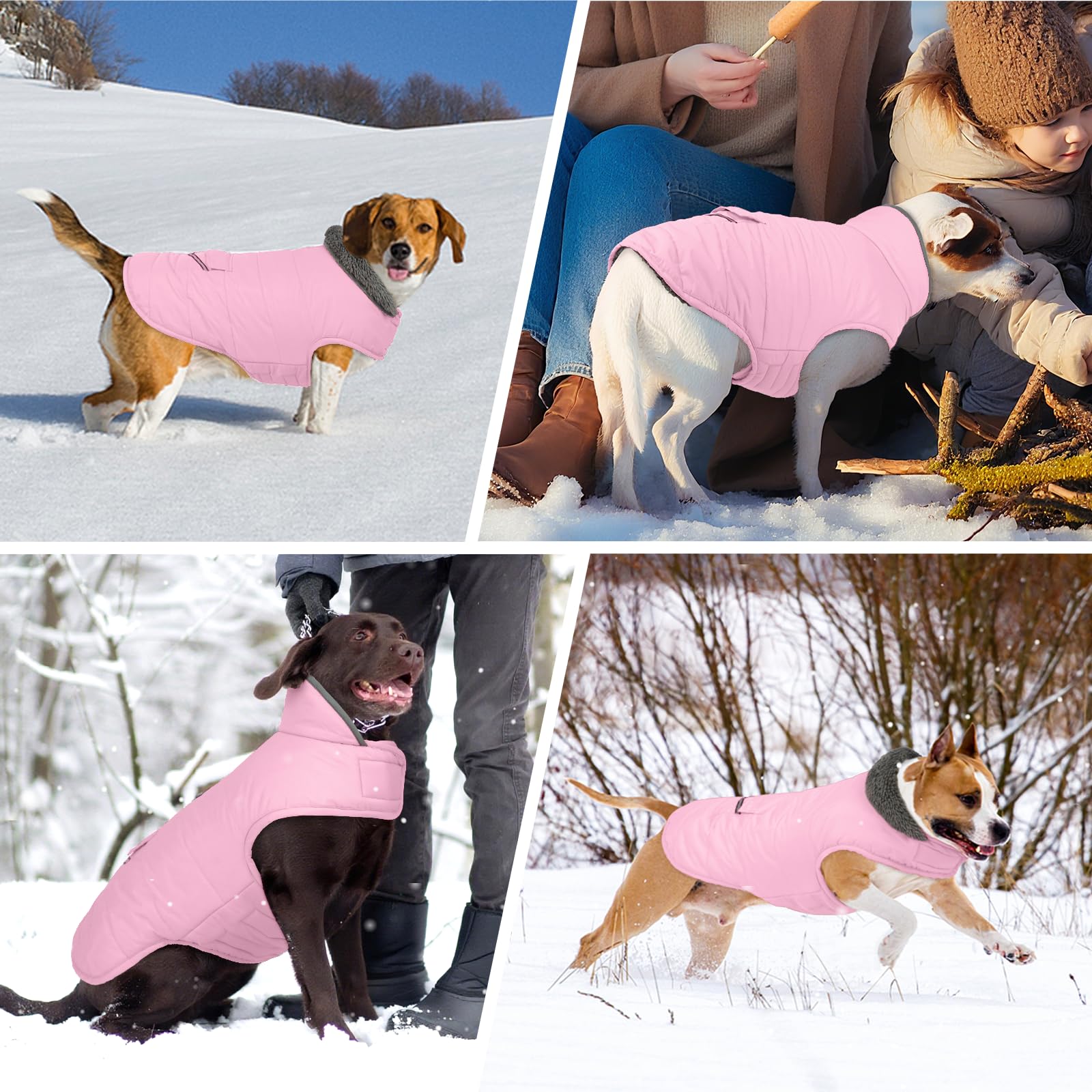 MIGOHI Warmer Hundemantel – Winddicht, Mit Fleece & Reflektierend – Für Kleine Bis Große Hunde Im Winter