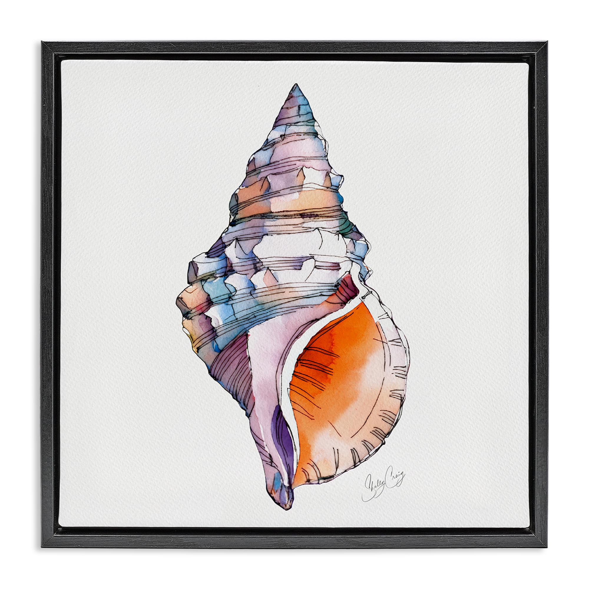 Stupell Industries Jet Black (Matte) 'Sunrise Conch Shell'| Floating Frame Canvas Art