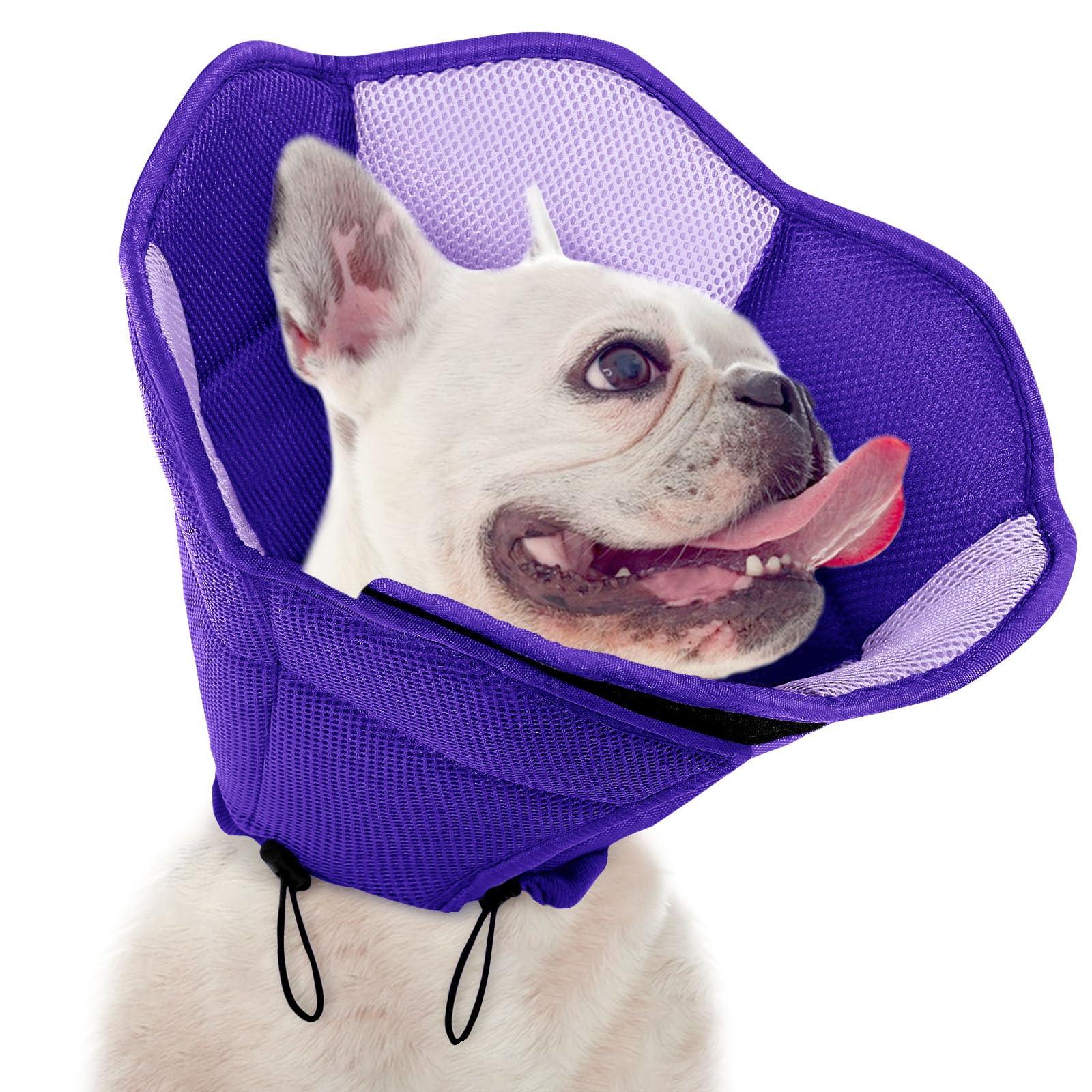 Dog Cone Soft Cone for Dogs to Stop Licking