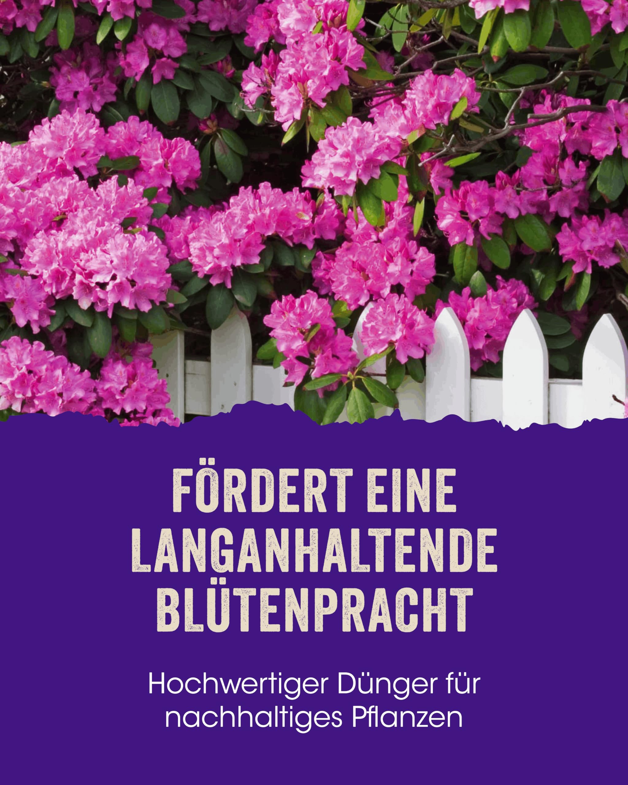 Allflor Rhododendrondünger I 10 x 2,5 Kg I Organisch-Mineralische Nährstoffkombination für Moorbeetpflanzen I Rhododendron Dünger in der Faltschachtel I Magnesium-betontes Düngemittel