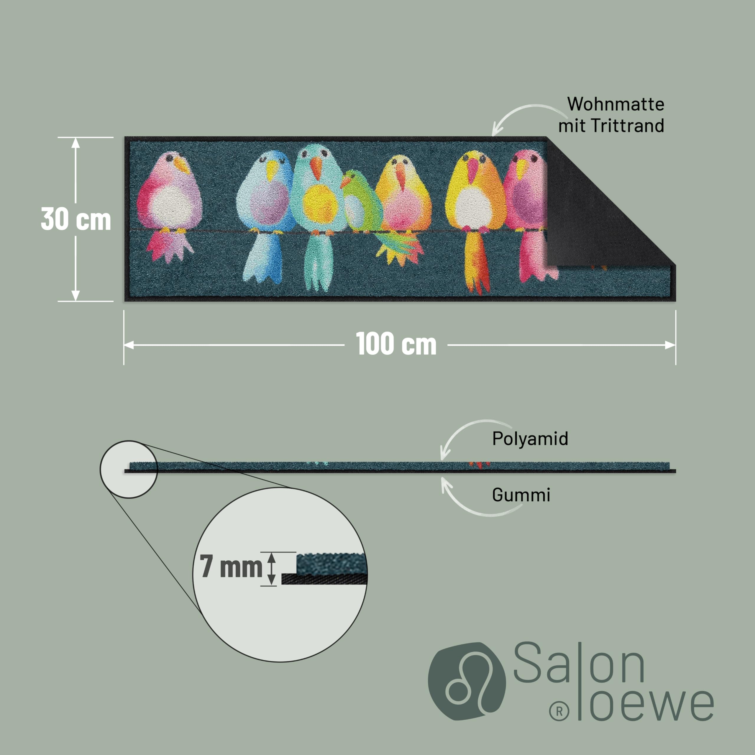 Salonloewe Fussmatte Fussmatte Rainbow Birds I Schmutzfangmatte & Fußabtreter für Innen 30 x 100 cm