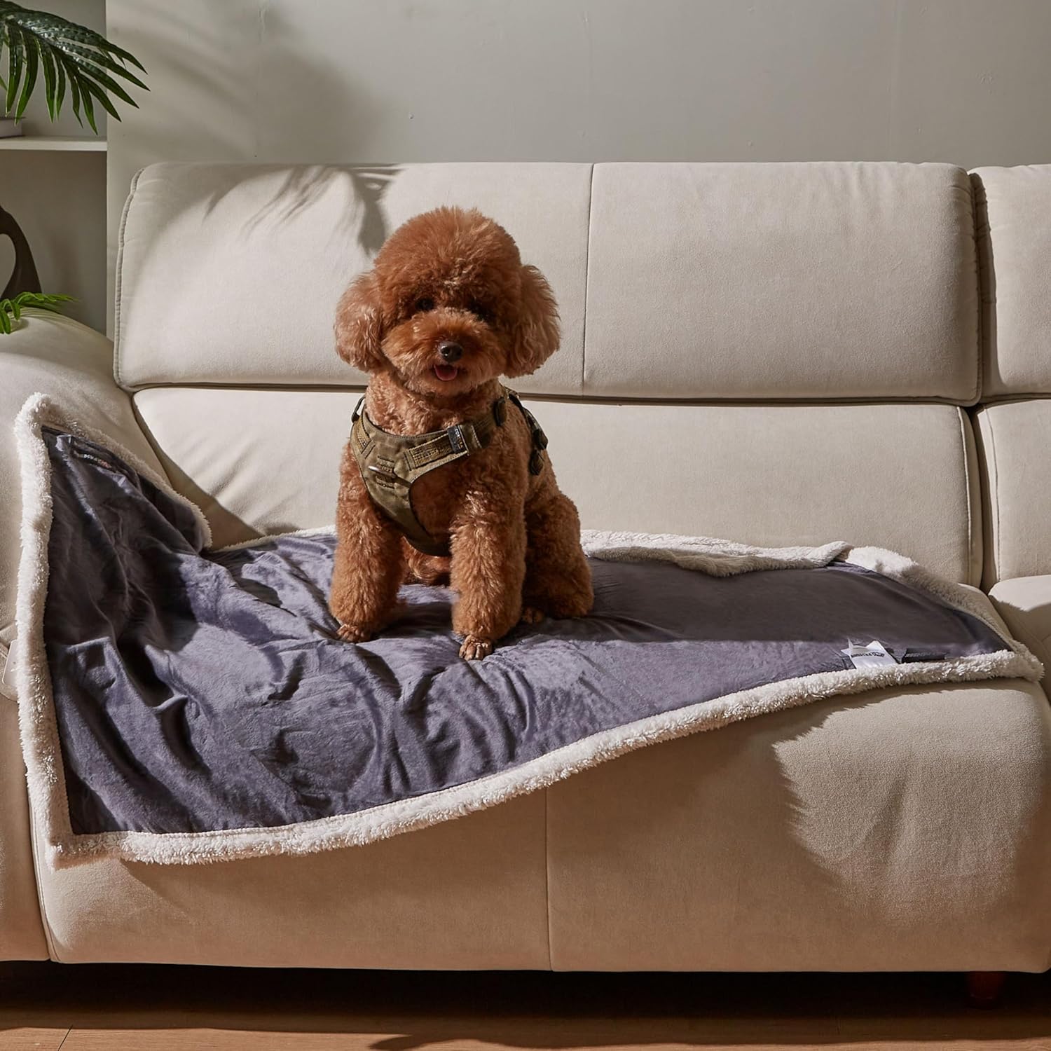 Puppy Blanket, Super Soft Sherpa Dog Blankets and Throws Cat Fleece Sleeping Mat for Pet Small Animals 45×30 Grey