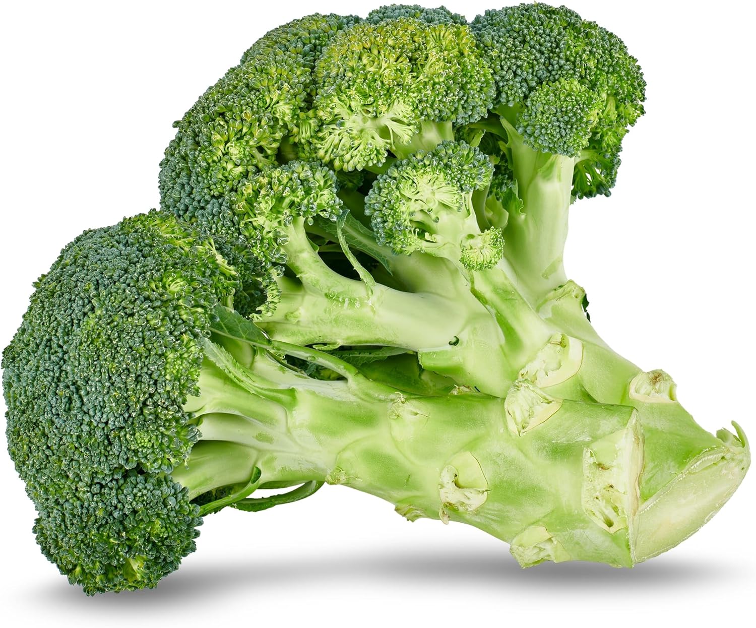 Brócoli pieza 500 gr - Imagen 2