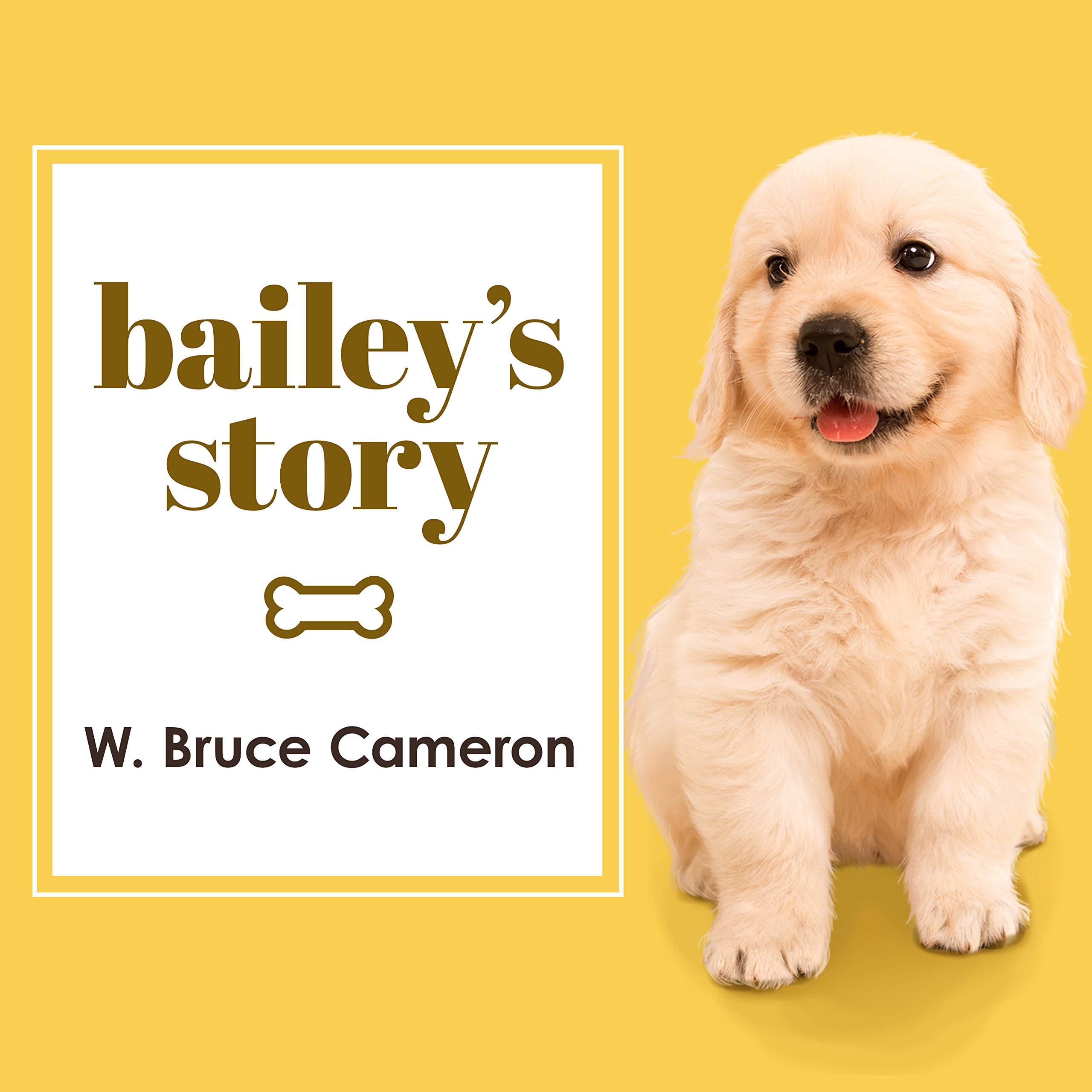 Cover art for Bailey's Story