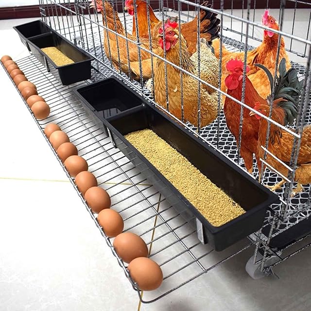 Foto 5 de 6 de Jaulas para Gallinas Baratas con Bandeja de Basura y Recogedor de Huevos