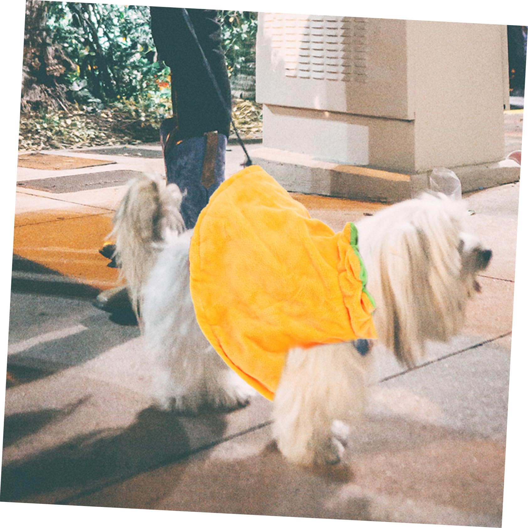 BESPORTBLE 3 Set Mantello Per Animali Domestici Mantello Di Halloween Per Animali Domestici Vestito Jack-o- Lanterna Per Costume Da Zucca Di Halloween Per Gatti Peluche