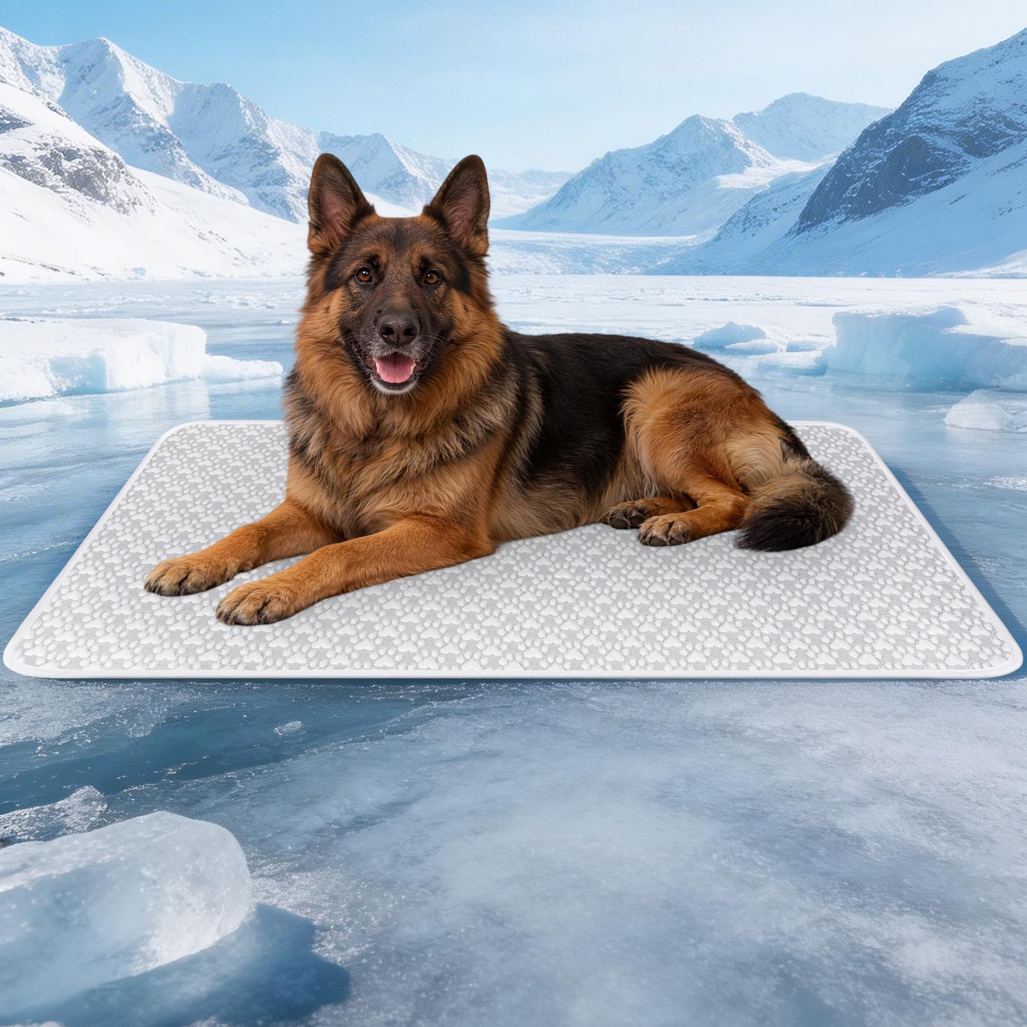 Tapis rafraîchissant chien et chat gris clair 71x101 cm