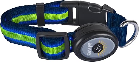 elive dog collar