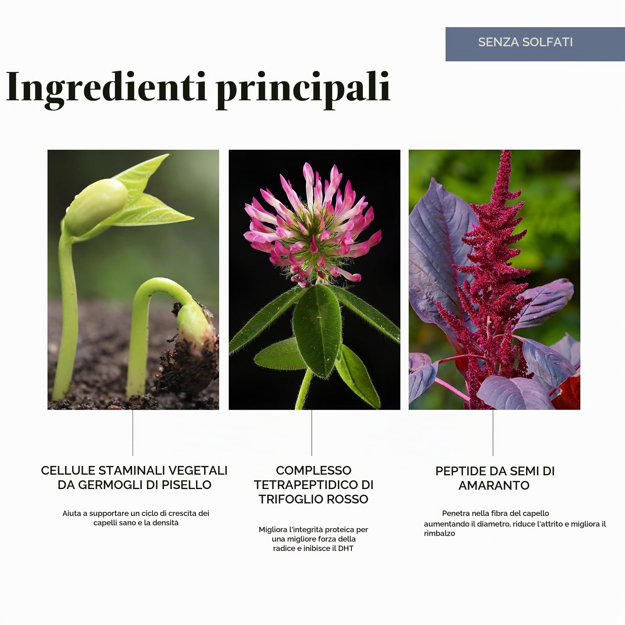 Intelligent Nutrients Pure Plenty Shampoo, Purifica e rinforza i capelli fini e diradati grazie a una formula biologica stimolante per il cuoio capelluto, promuove la crescita. (250 ML)